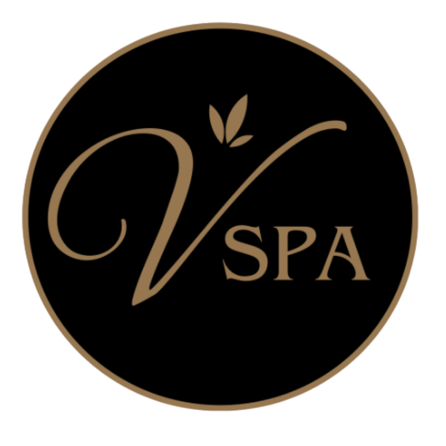 Vision spa