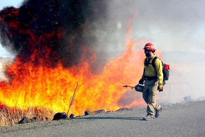 PrescribedBurn_MalheurNF_OR_USFWSFlickr.jpg