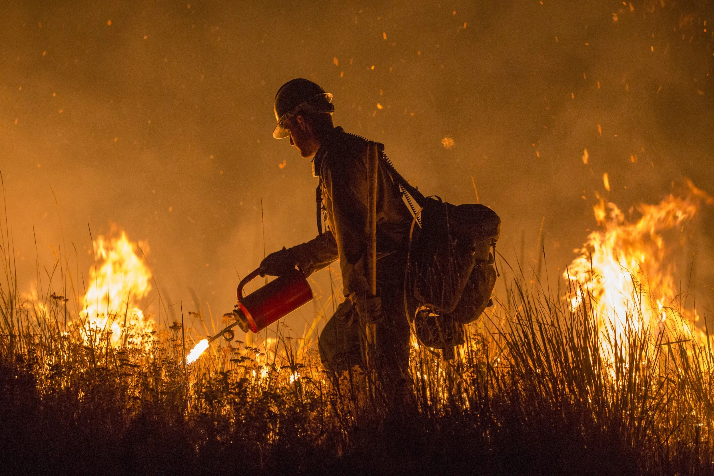 BoiseNF_USFS_PioneerFire_Kari Greer.jpg