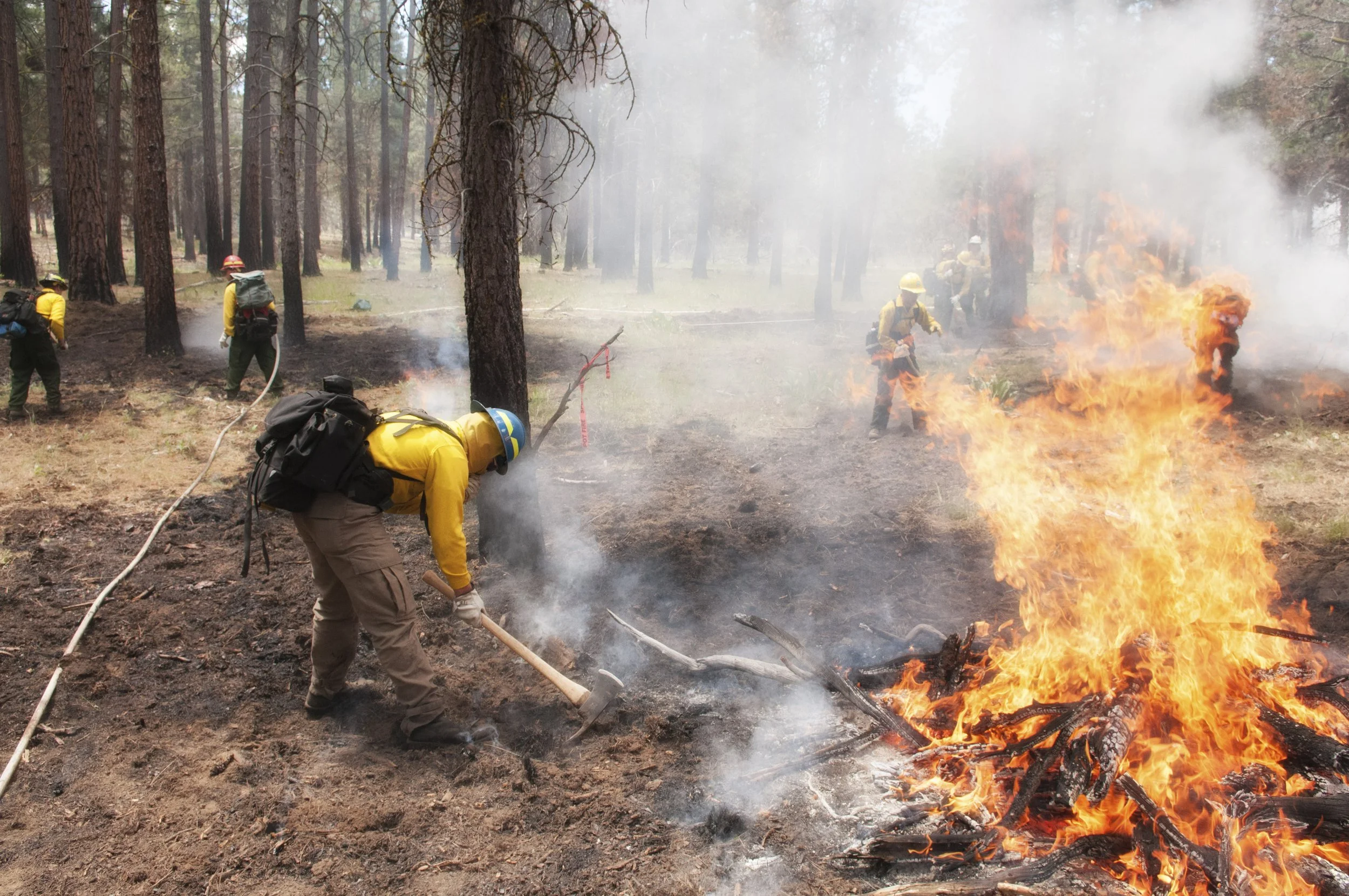 BLM_WildlandsFirefightersPrescribedBurn_Flickr_CC-BY-SA-2.0.jpg