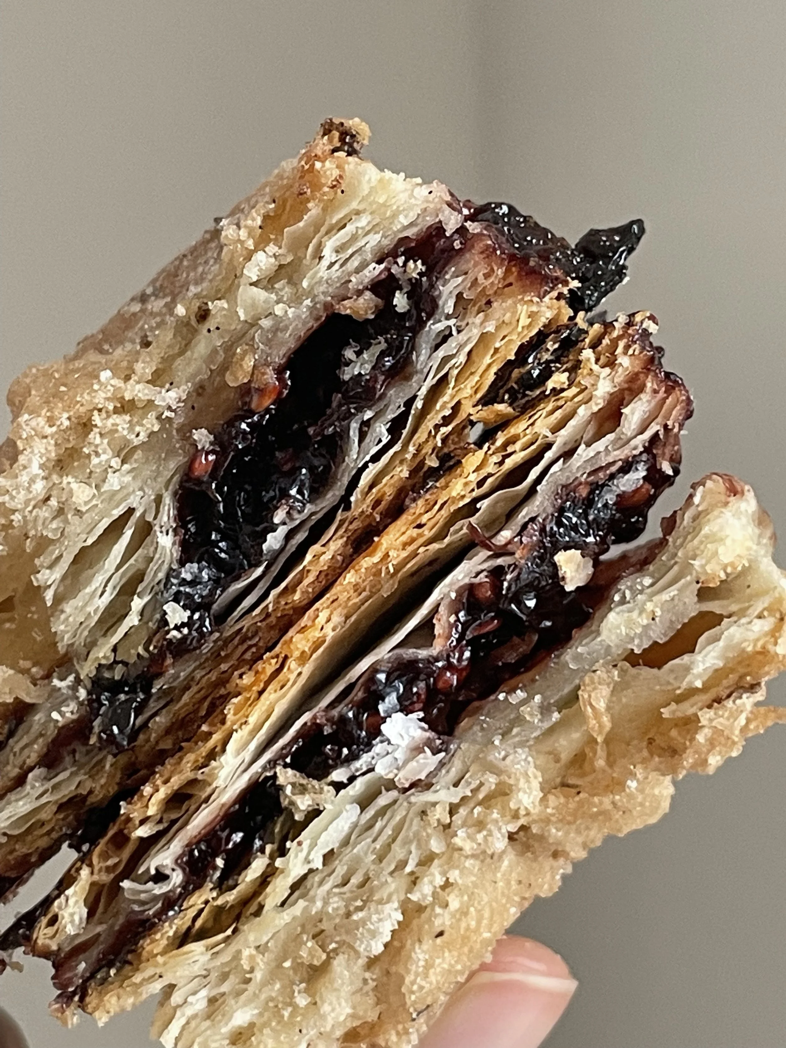 Blackberry Hand Pie (Pastries)
