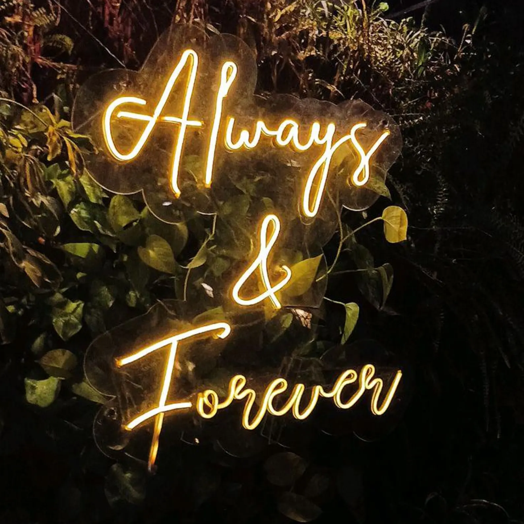 Neon sign that says "Always & Forever" against a background of dark foliage.