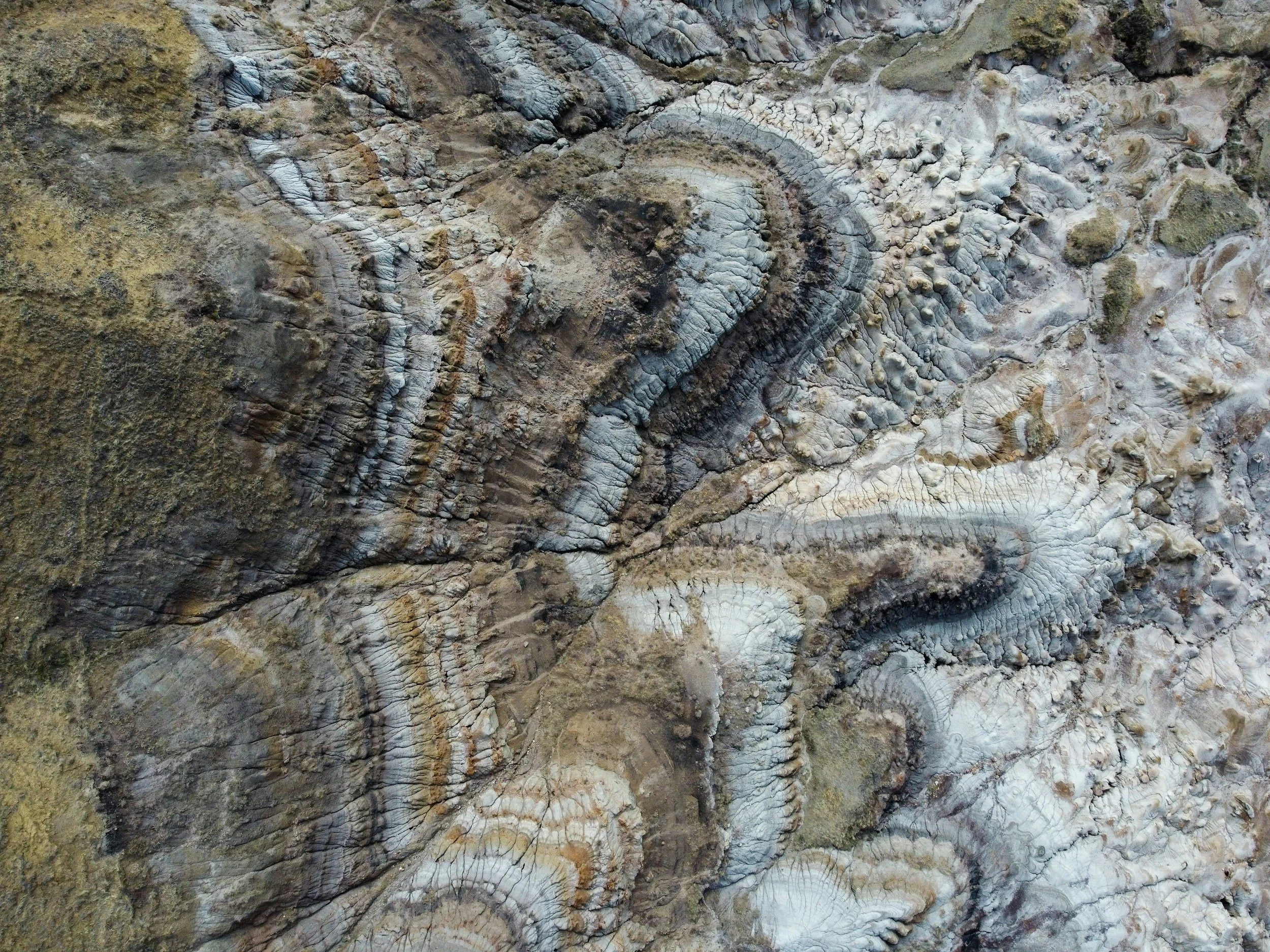 Folded sedimentary rock, location unknown