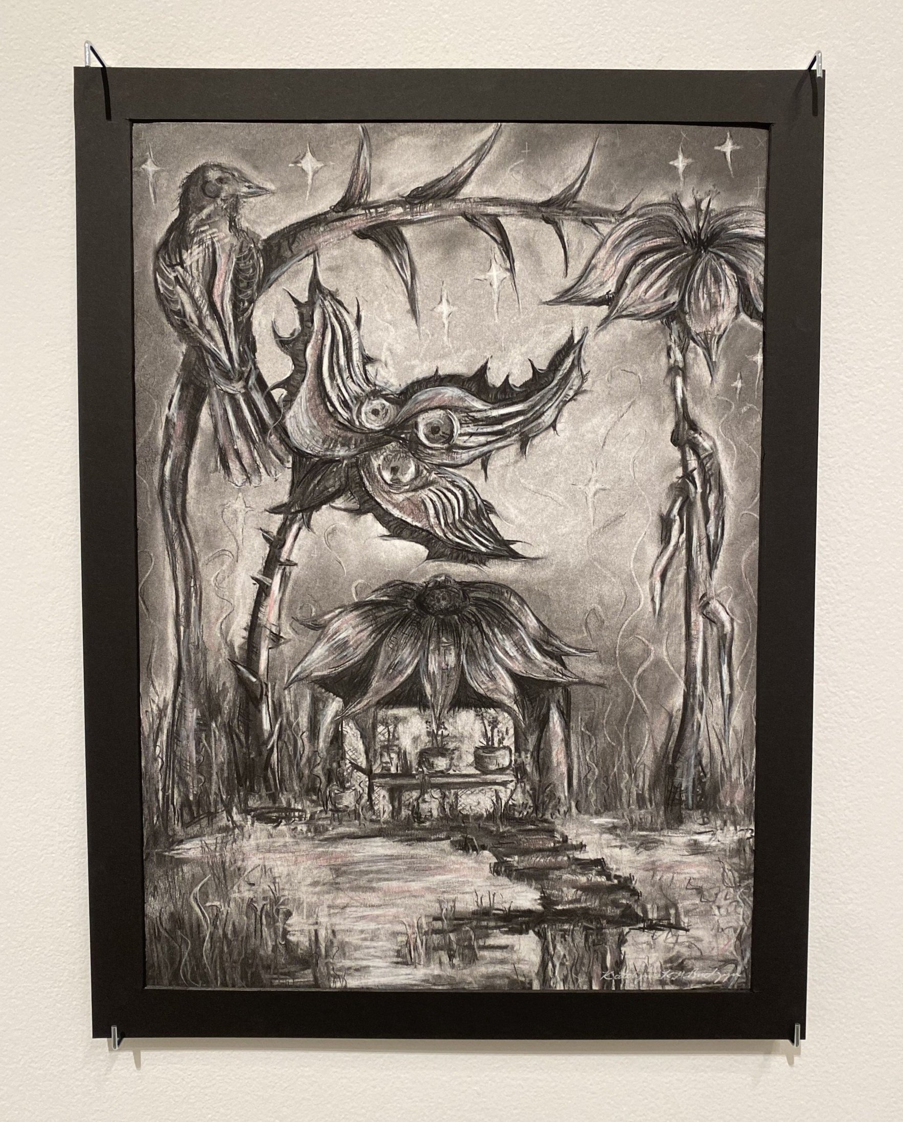 High in Fairyland, 2025.