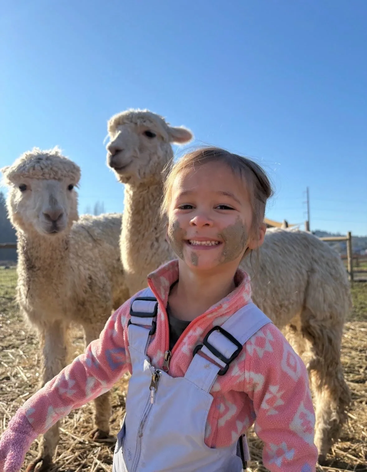 Photo dump from last week ❣️❣️❣️❣️❣️ 

We loved celebrating Valentine&rsquo;s Day with our family and friends!