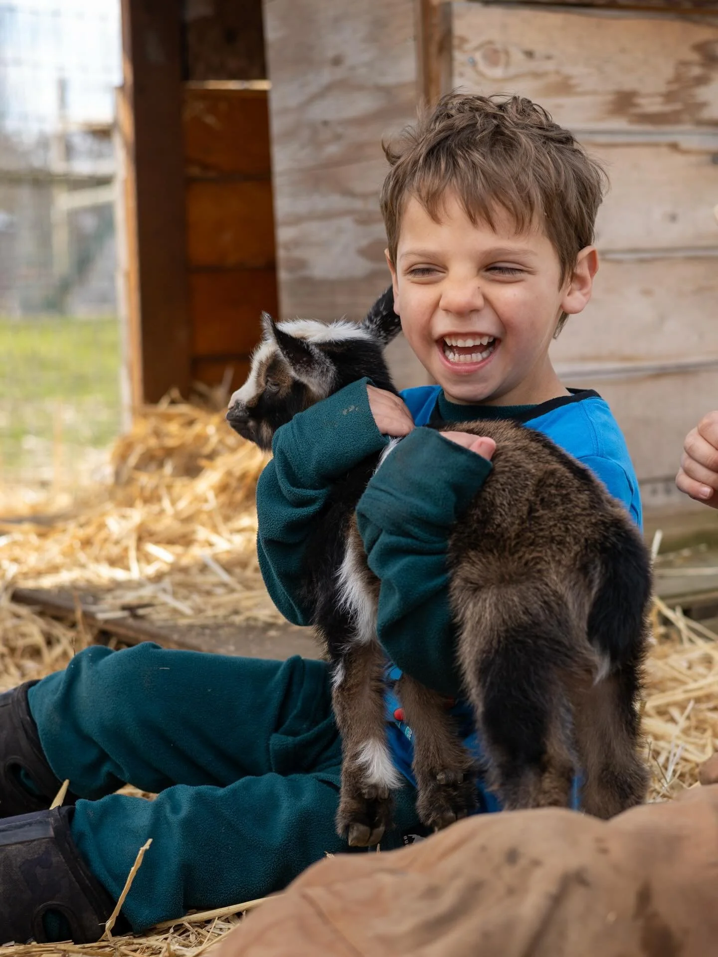 How we feel about our new baby goats 🥹🥹🥹 

Practicing gentle hands, soft pets, bottle feeding and lots of love around here!!!