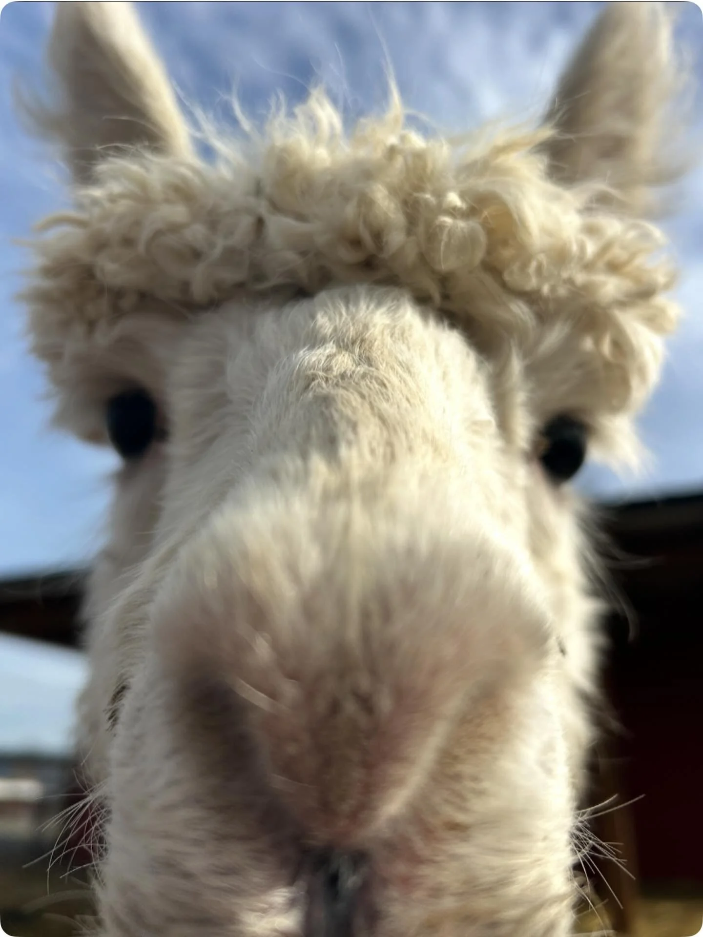 Finn checking in to make sure you&rsquo;re all spending this beautiful spring break OUTSIDE ☀️☀️☀️ 

We can&rsquo;t wait to see you all on Monday!
