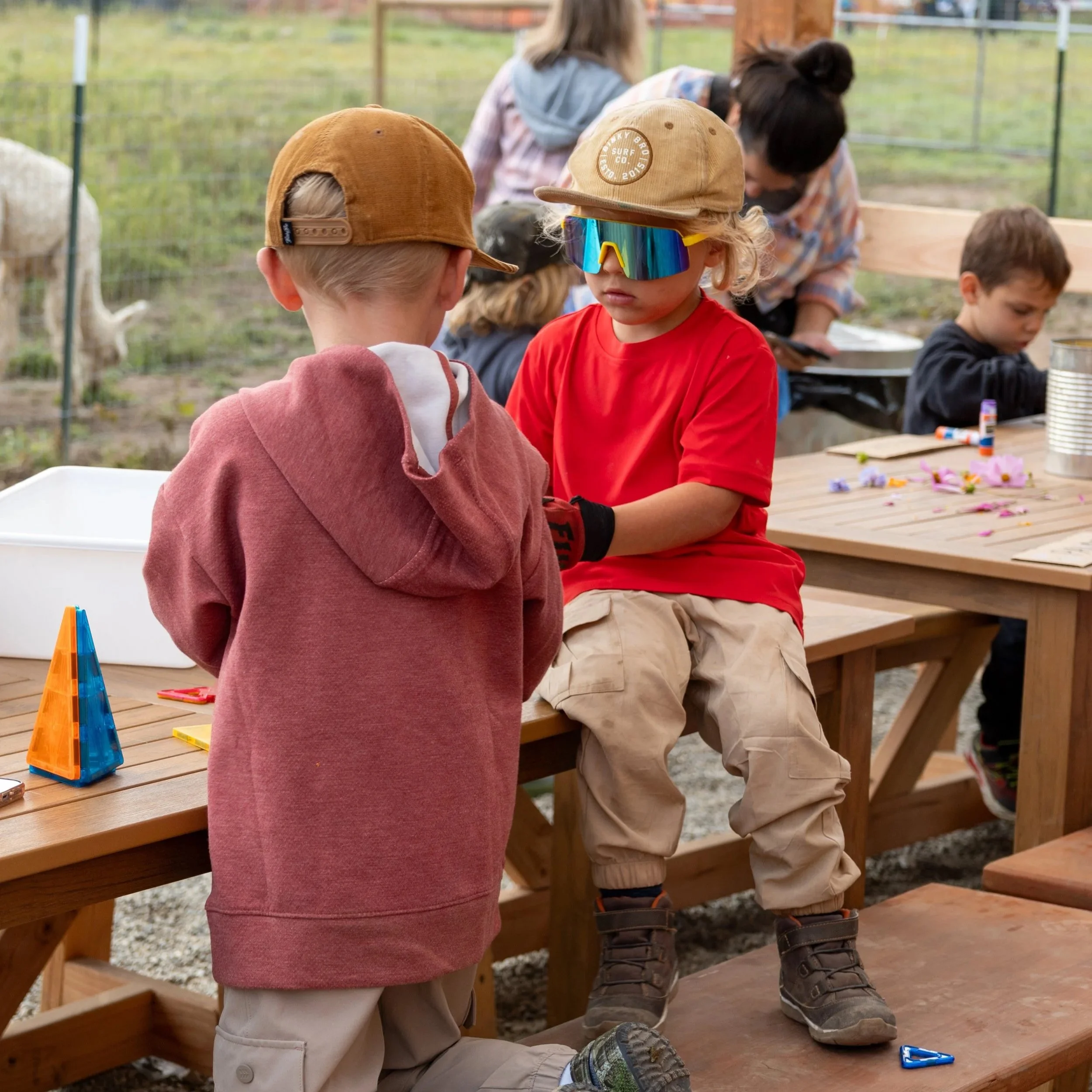 Friday Full Day | Registration Fee