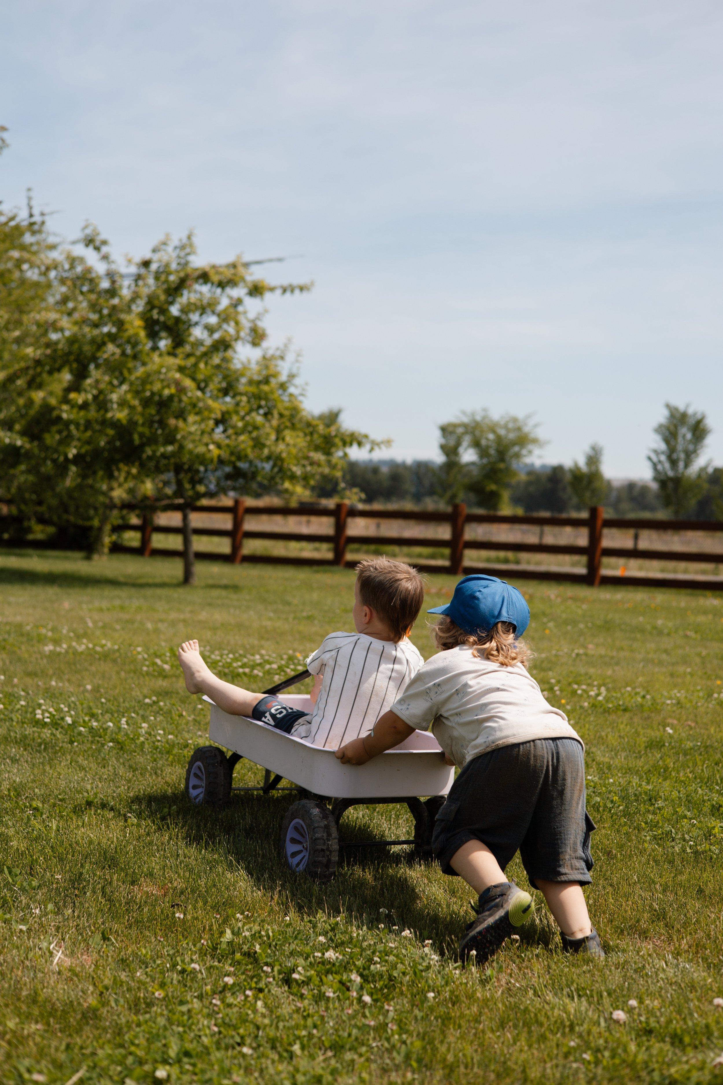 Tuesday & Thursday AM Registration Fee