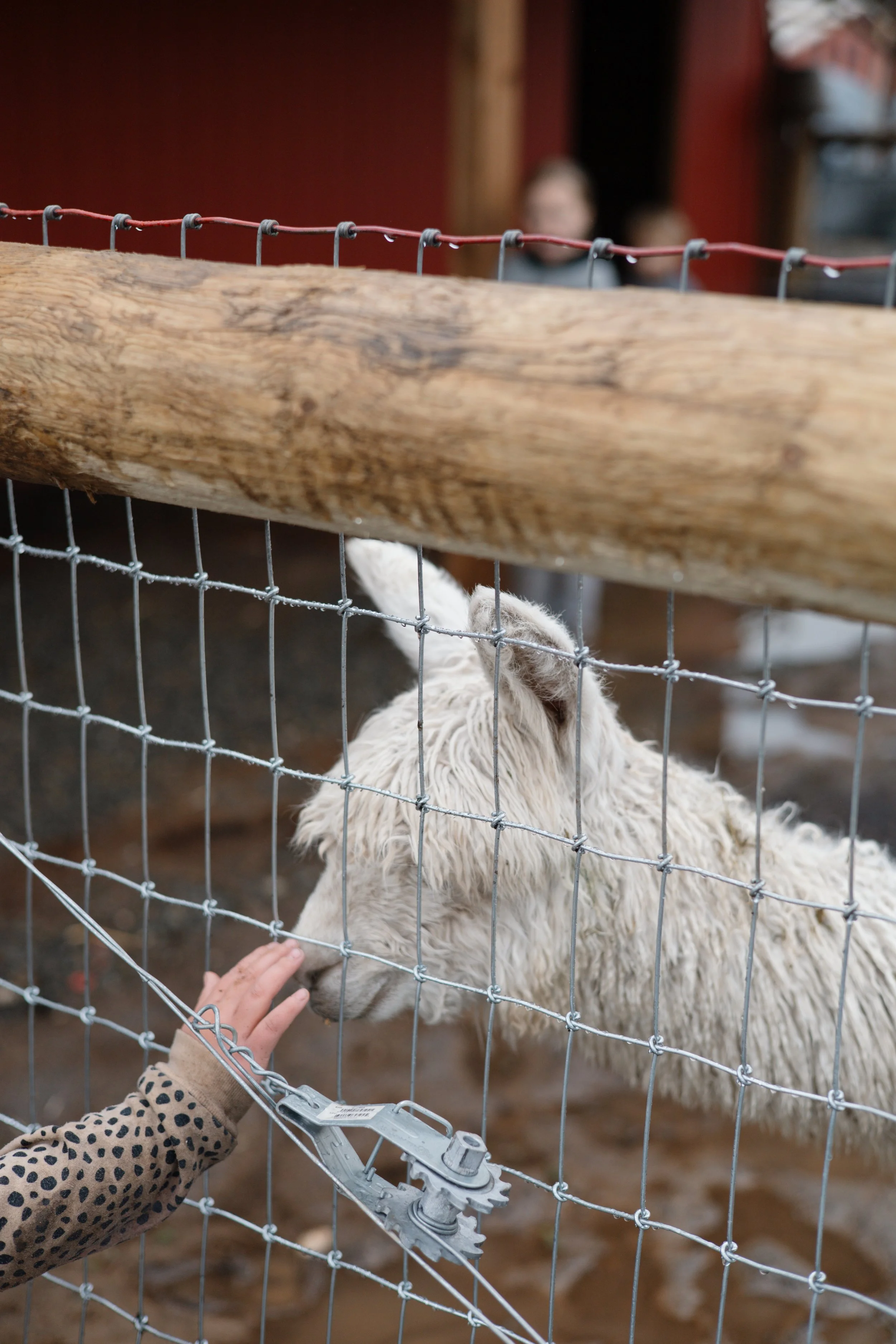 July 7th Camp | 9:30 AM - 12:30 PM