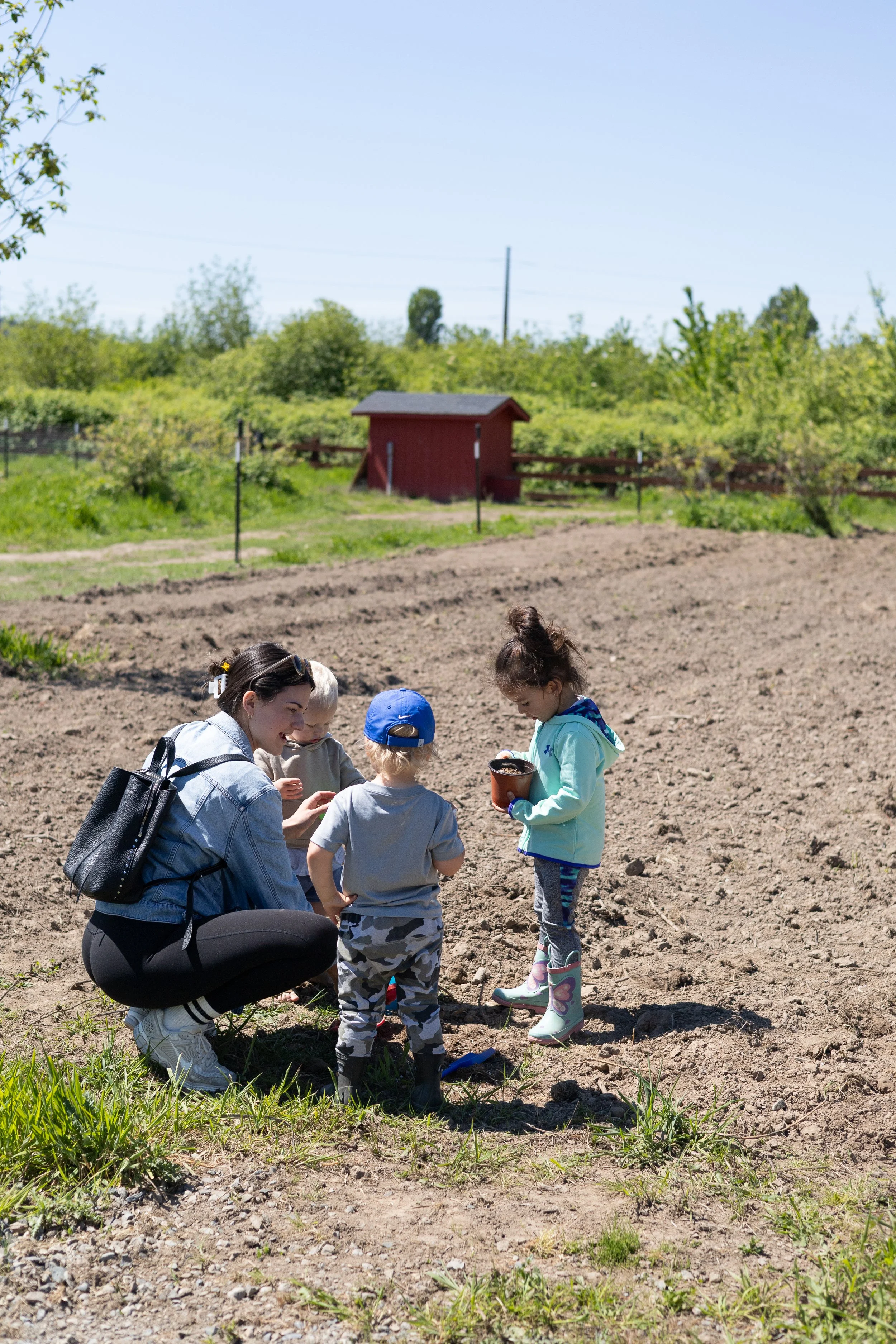 A woman and three children stand in a garden or farm, examining plants together on a bright, sunny day with a blue sky. There is a small red shed and green trees in the background.
