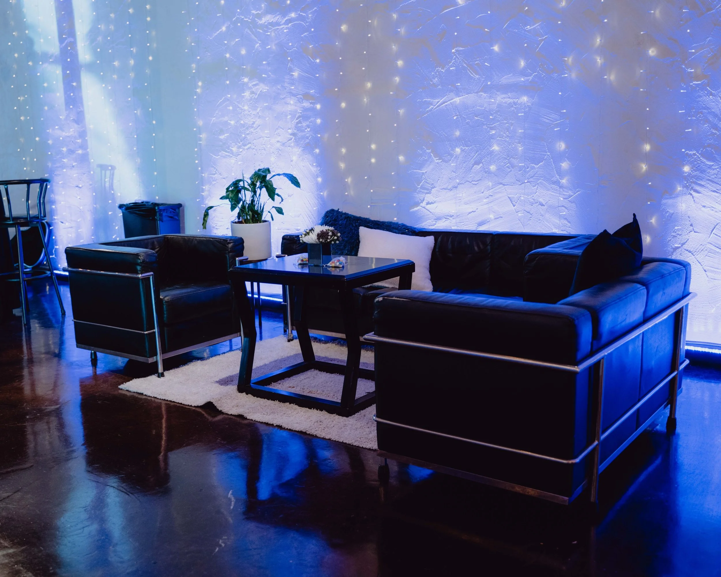 modern-lounge-private-party-pierpont-place.jpg