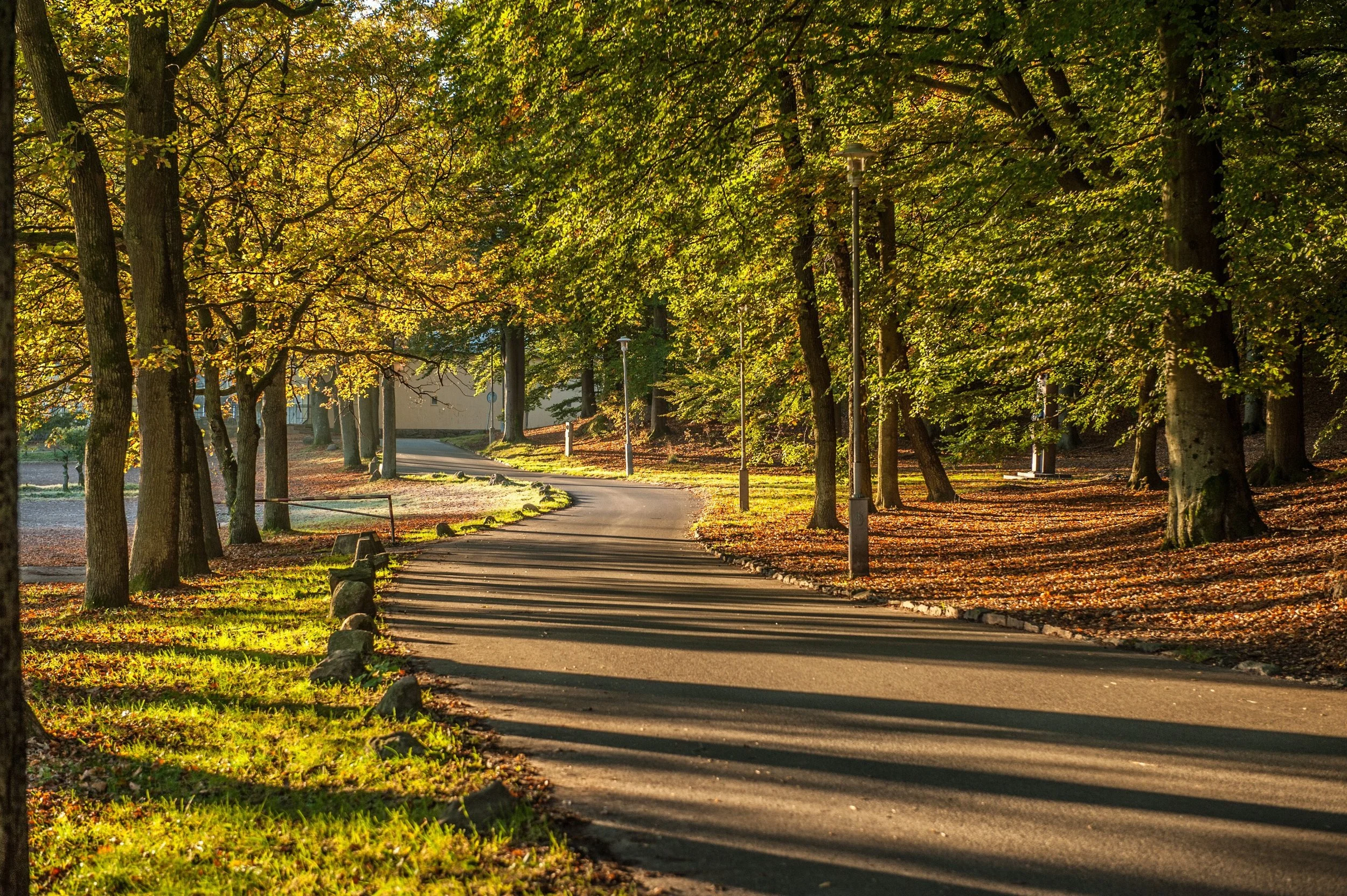 The Intersection of the Social Determinants of Health and Sport & Recreation Delivery Systems & The Impact on Equity-Owed Residents’ Participation