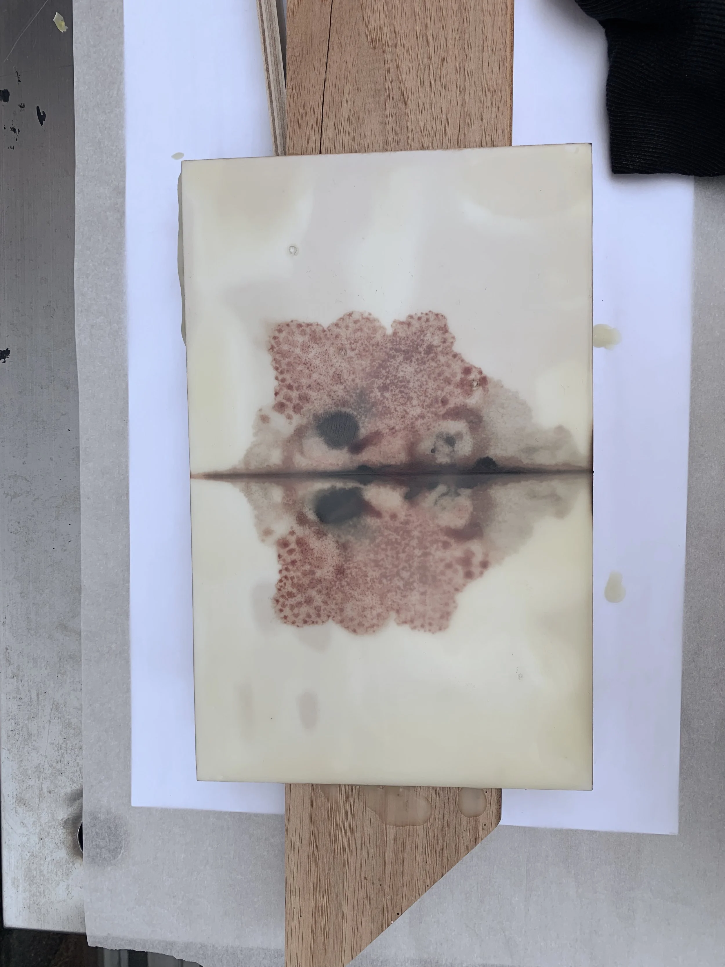 Todd_Blots_process2.jpg