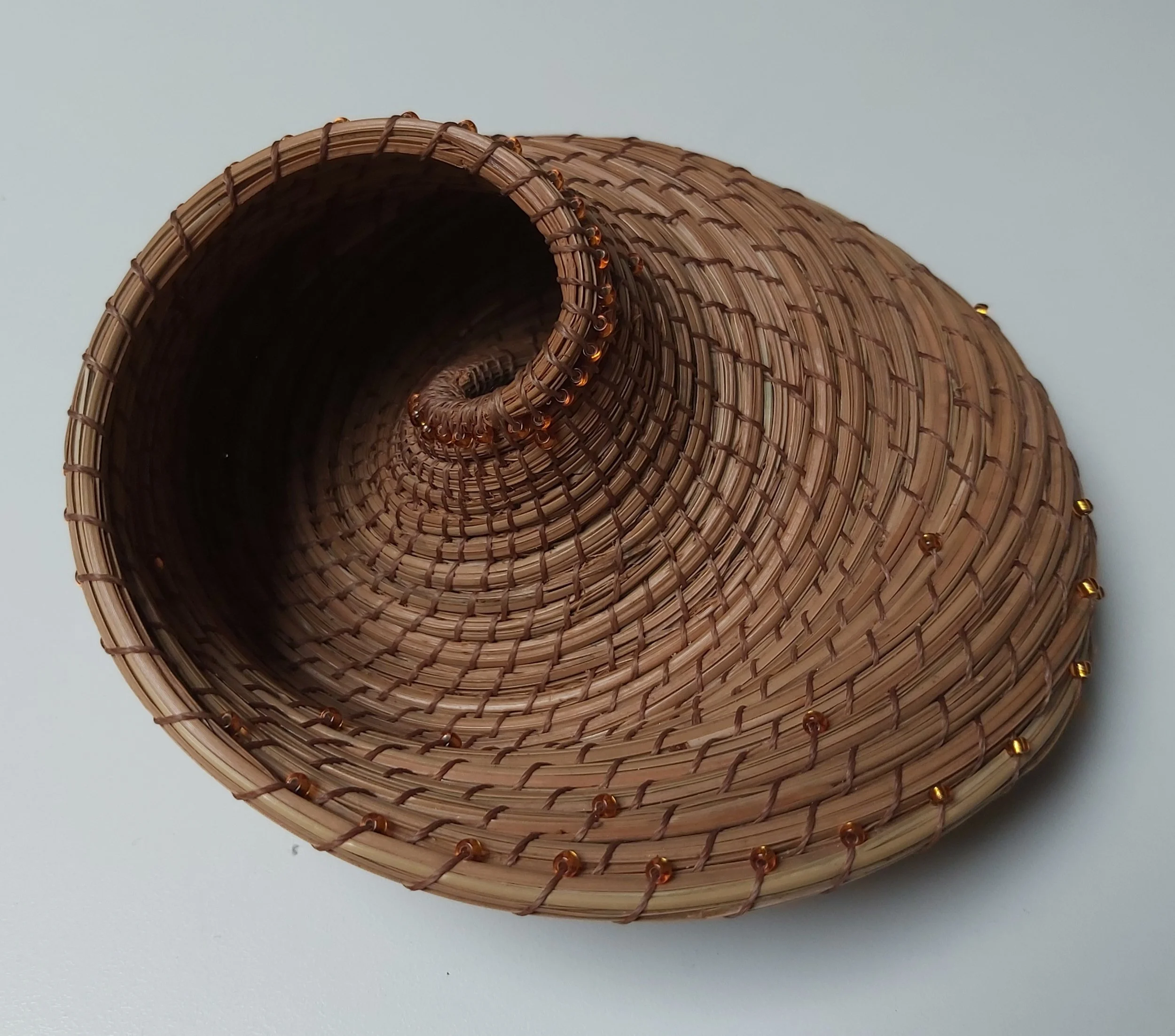 Seashell. Moebius strip no. 1.