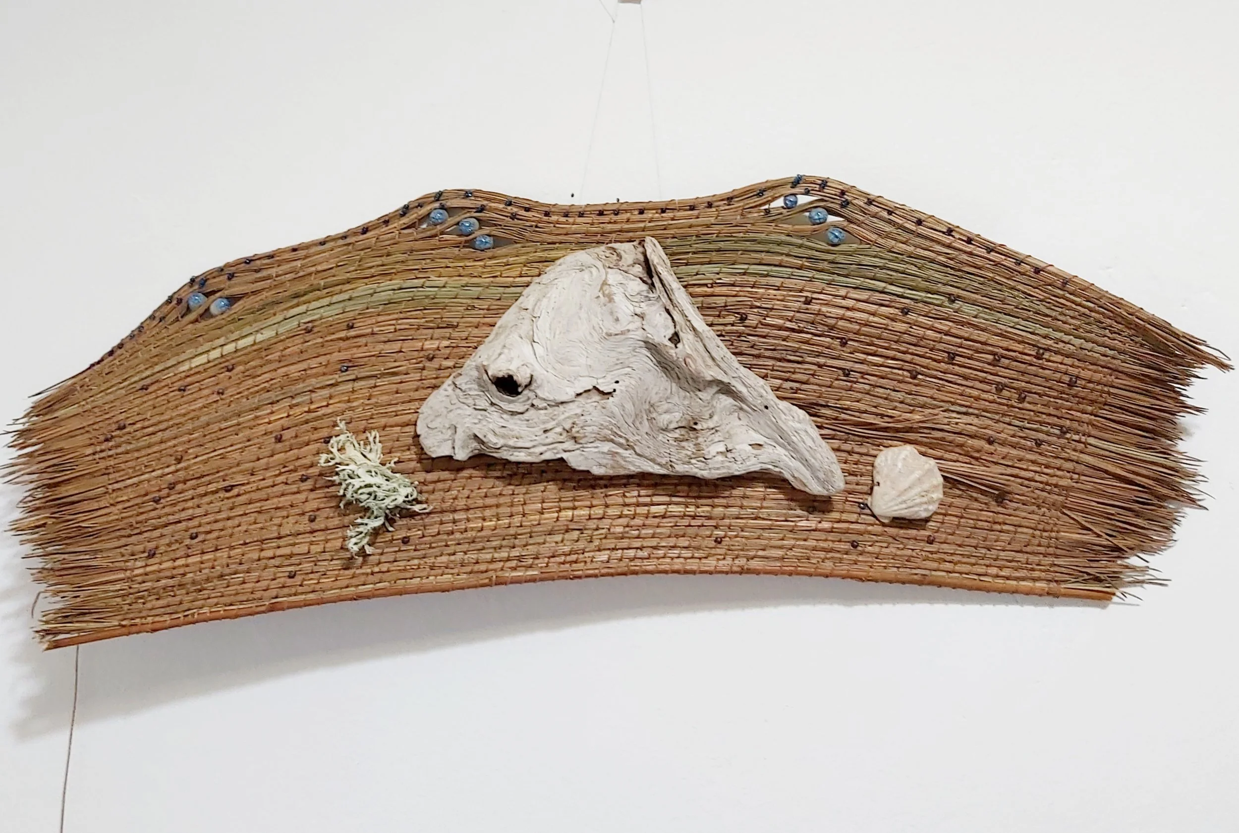 Not round shape (very difficult to do!) wall hanging, sad fish driftwood.