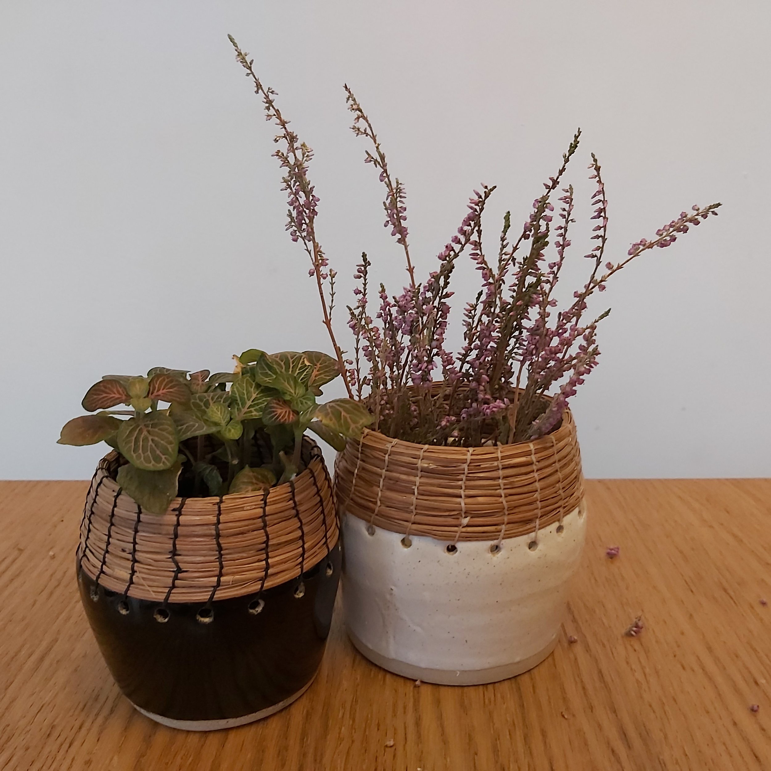 Small stoneware pots with pine needles