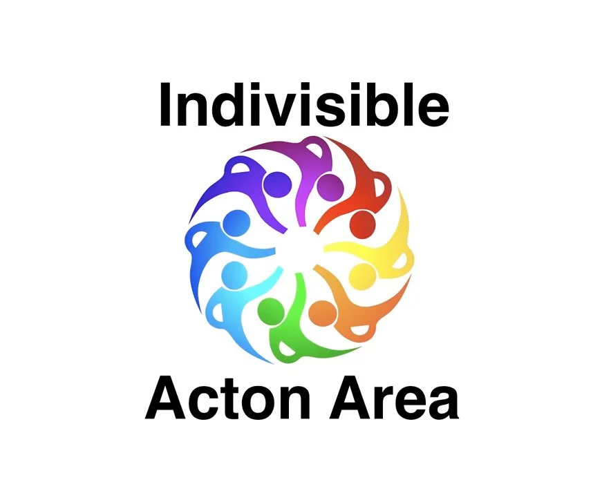 Indivisible Action Area