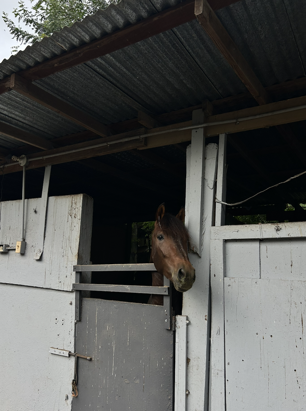 Screenshot 2026-02-10 at 5.16.03 PM.png