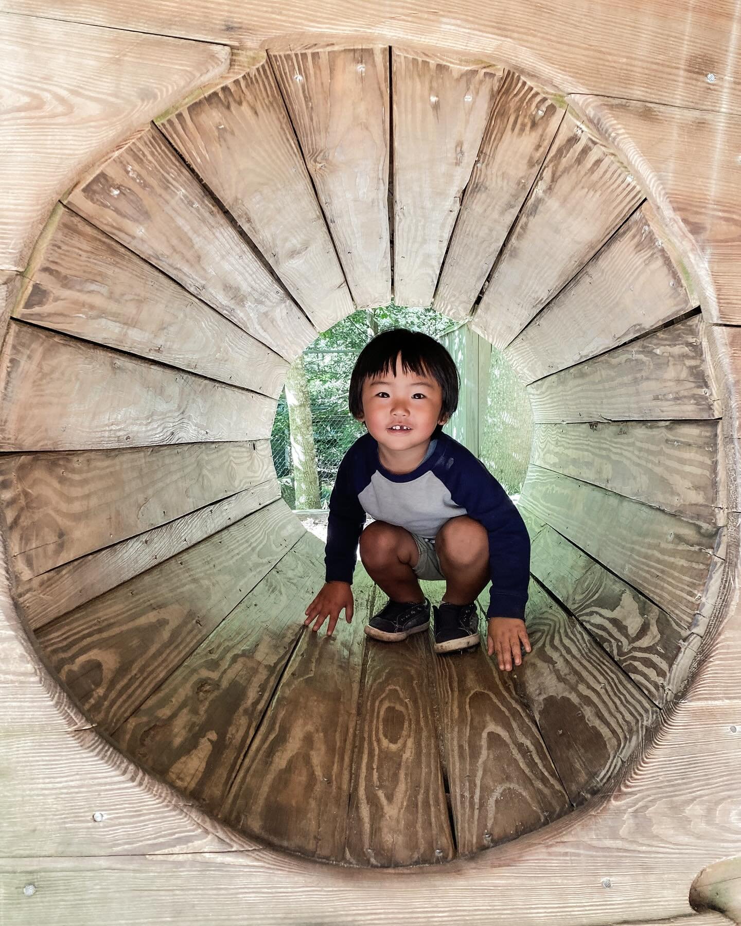 &ldquo;For me, the door to the woods is the door to the temple.&rdquo;- Mary Oliver #homeschoolct #homeschoolfairfieldcounty #ctfamilies #connecticutmoms #fairfieldcountyct