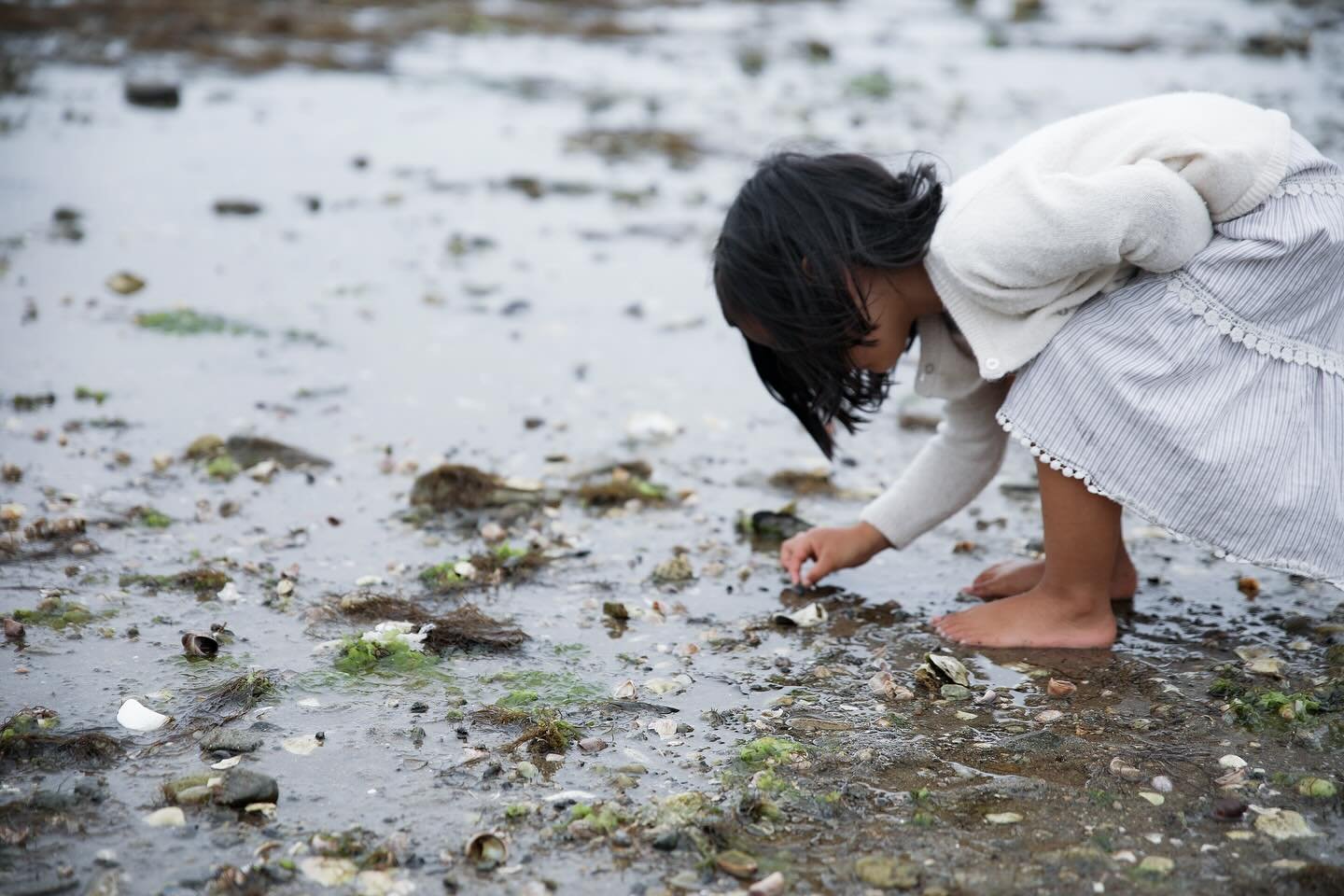 homeschoolct #homeschoolfairfieldcounty #ctfamilies #connecticutmoms #fairfieldcountyct