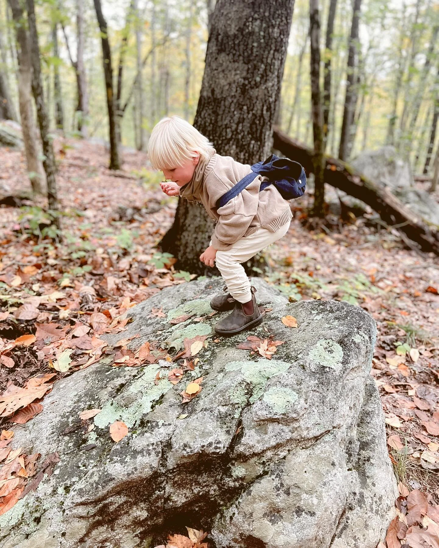 #homeschoolct #homeschoolfairfieldcounty #ctfamilies #connecticutmoms #fairfieldcountyct