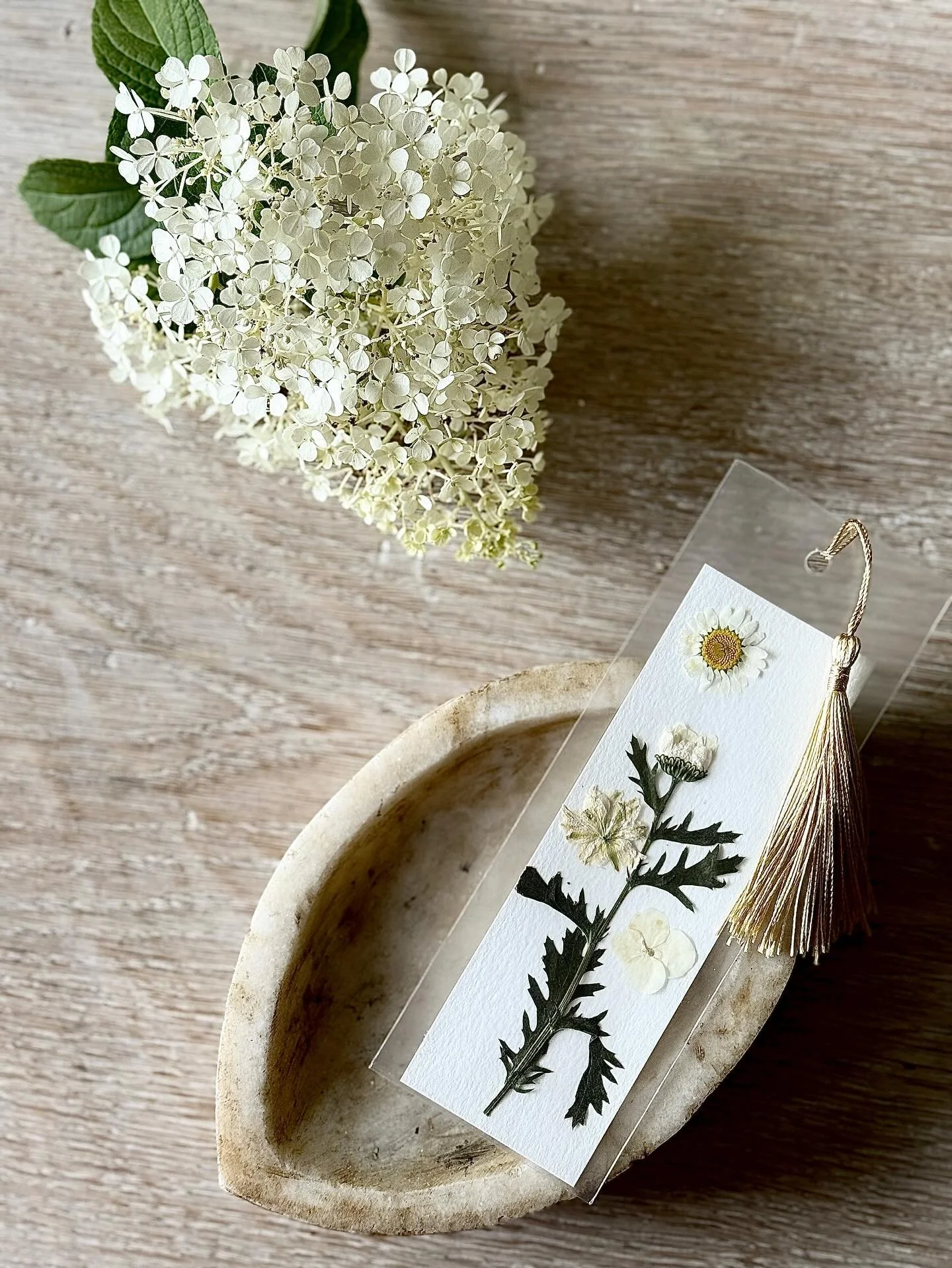 We will be making pressed floral bookmarks with @westportmoms at @gilbertieswestport this Thursday from 5-7 pm. Come create some late summer beauty with us 🌼🌿🌺 #homeschoolct #homeschoolfairfieldcounty #westporthomeschoolers #westportctmoms #westpo