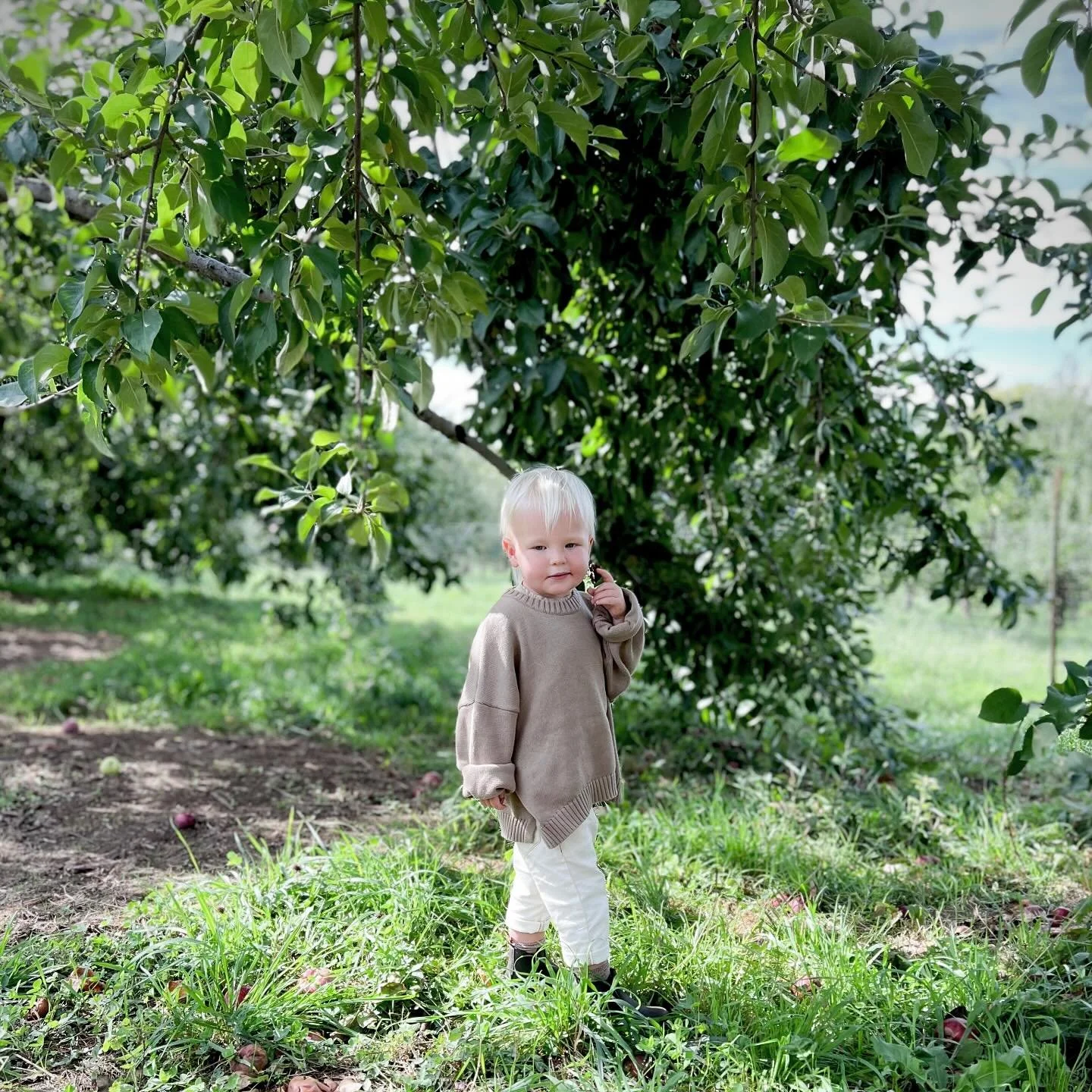 Officially 🍎🍎🍎 picking season in CT this weekend #homeschoolct #homeschoolfairfieldcounty #westporthomeschoolers #westportctmoms #westportcthomeschool #ctfamilies #connecticutmoms #fairfieldcountyct #greenwichctmoms #darienctmoms #rowaytonmoms #ct