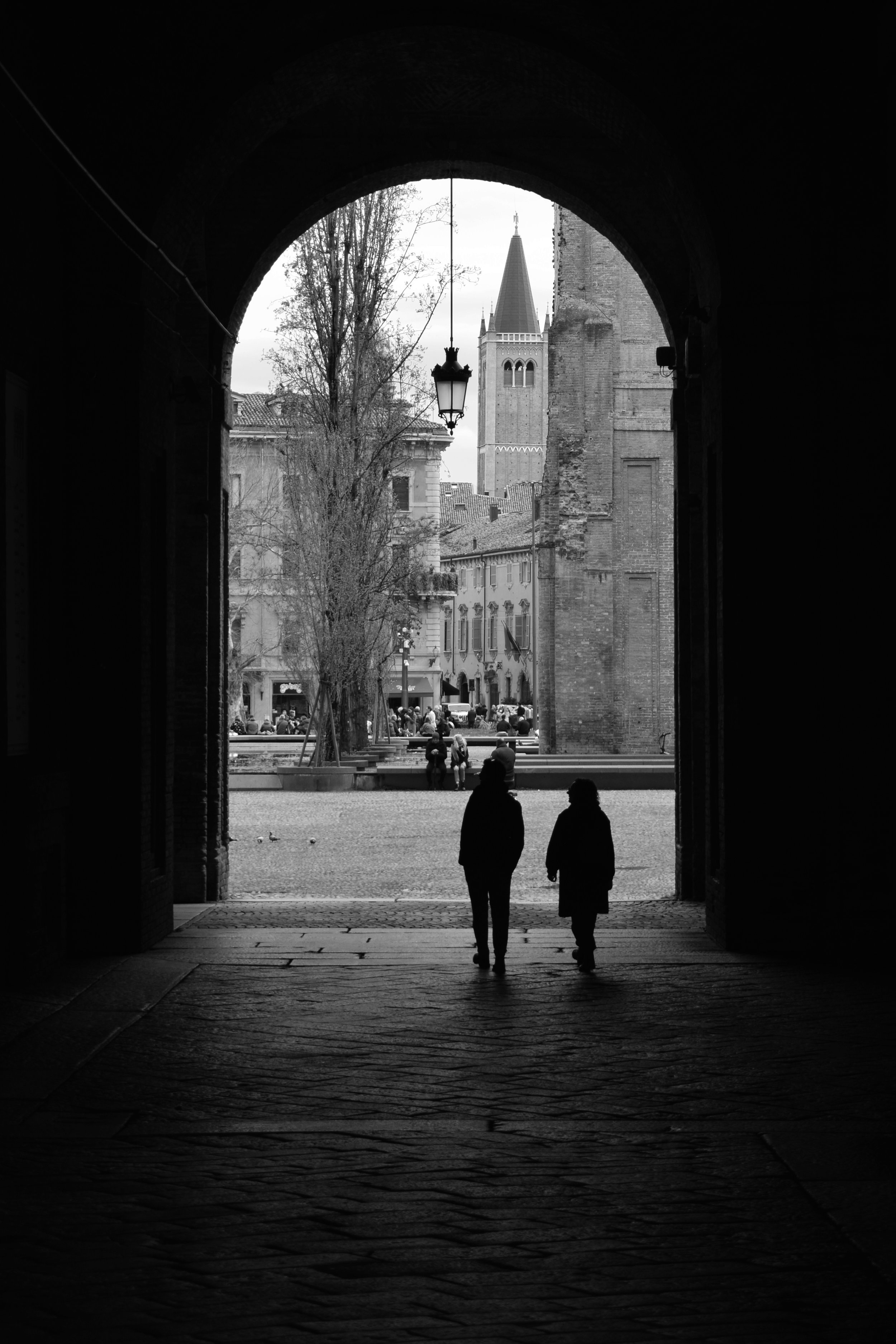DSC_1046bn.jpg