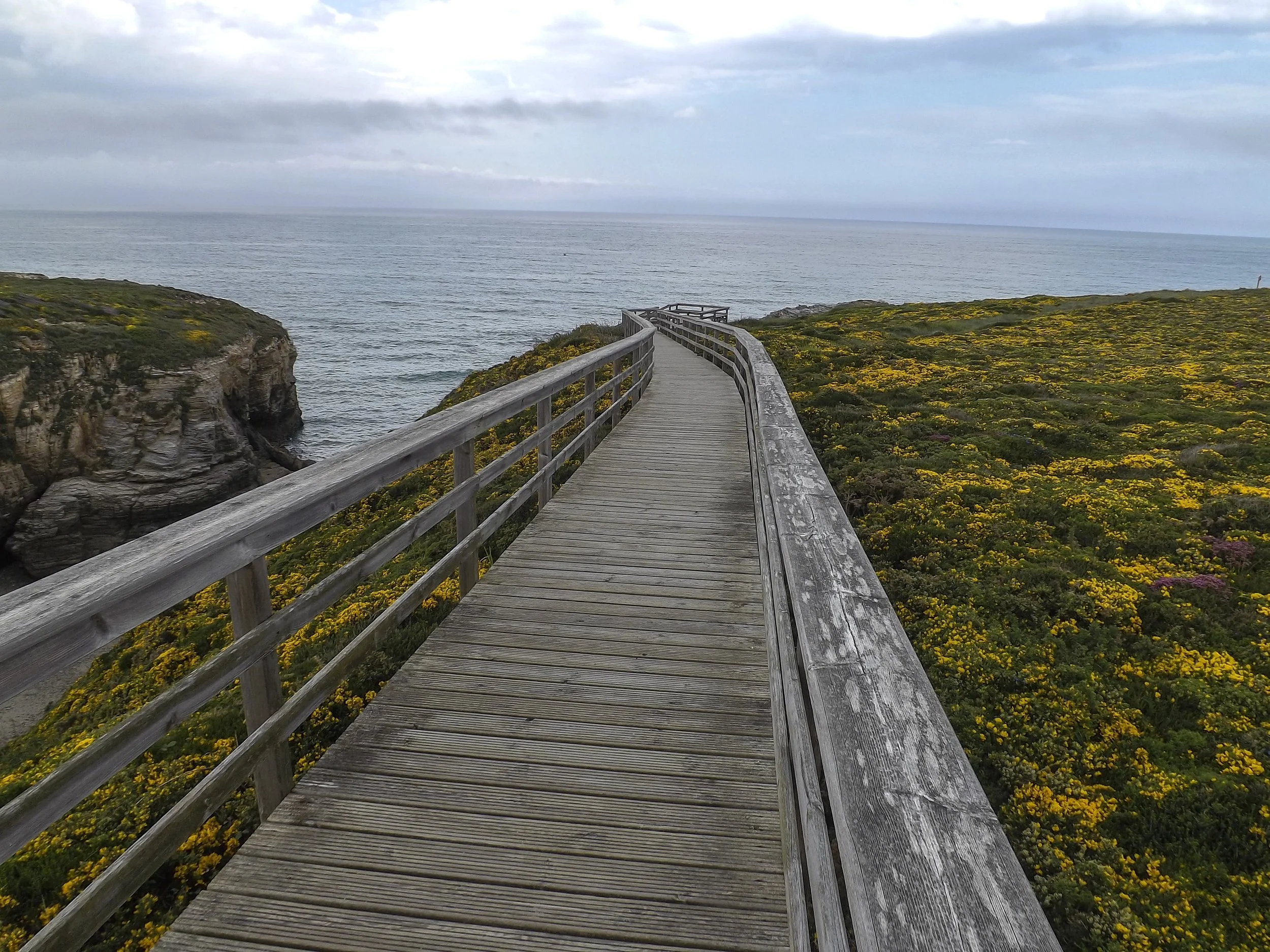 THE PATH.jpg