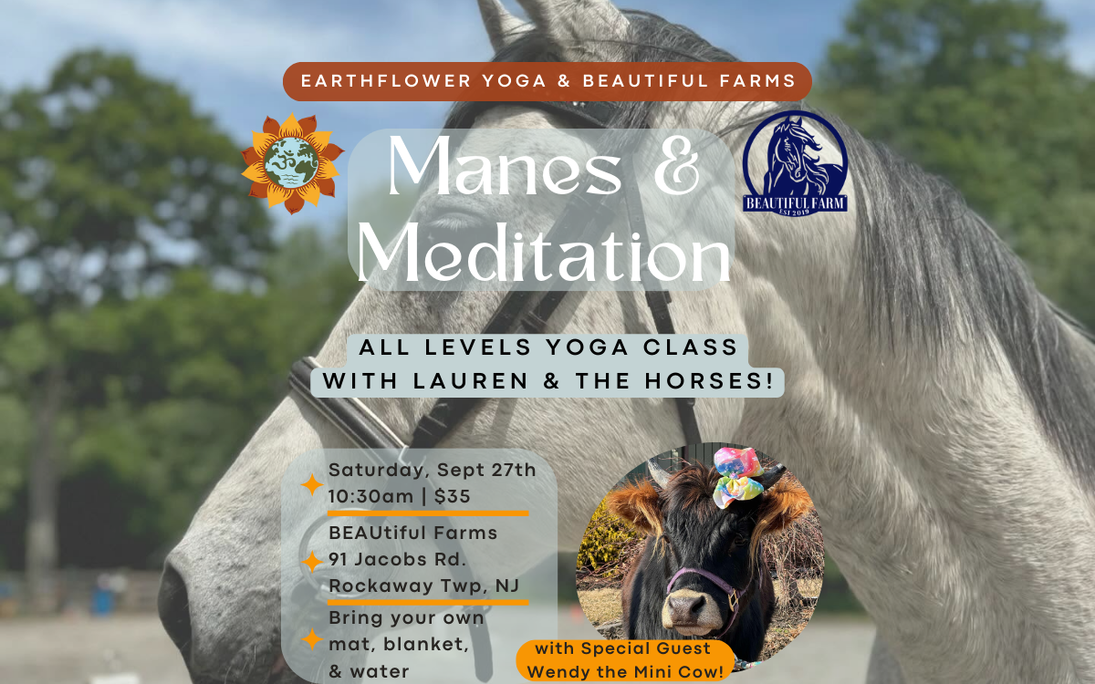 60 Min All Levels Yoga Class at BEAUtiful Farm -Rockaway, NJ