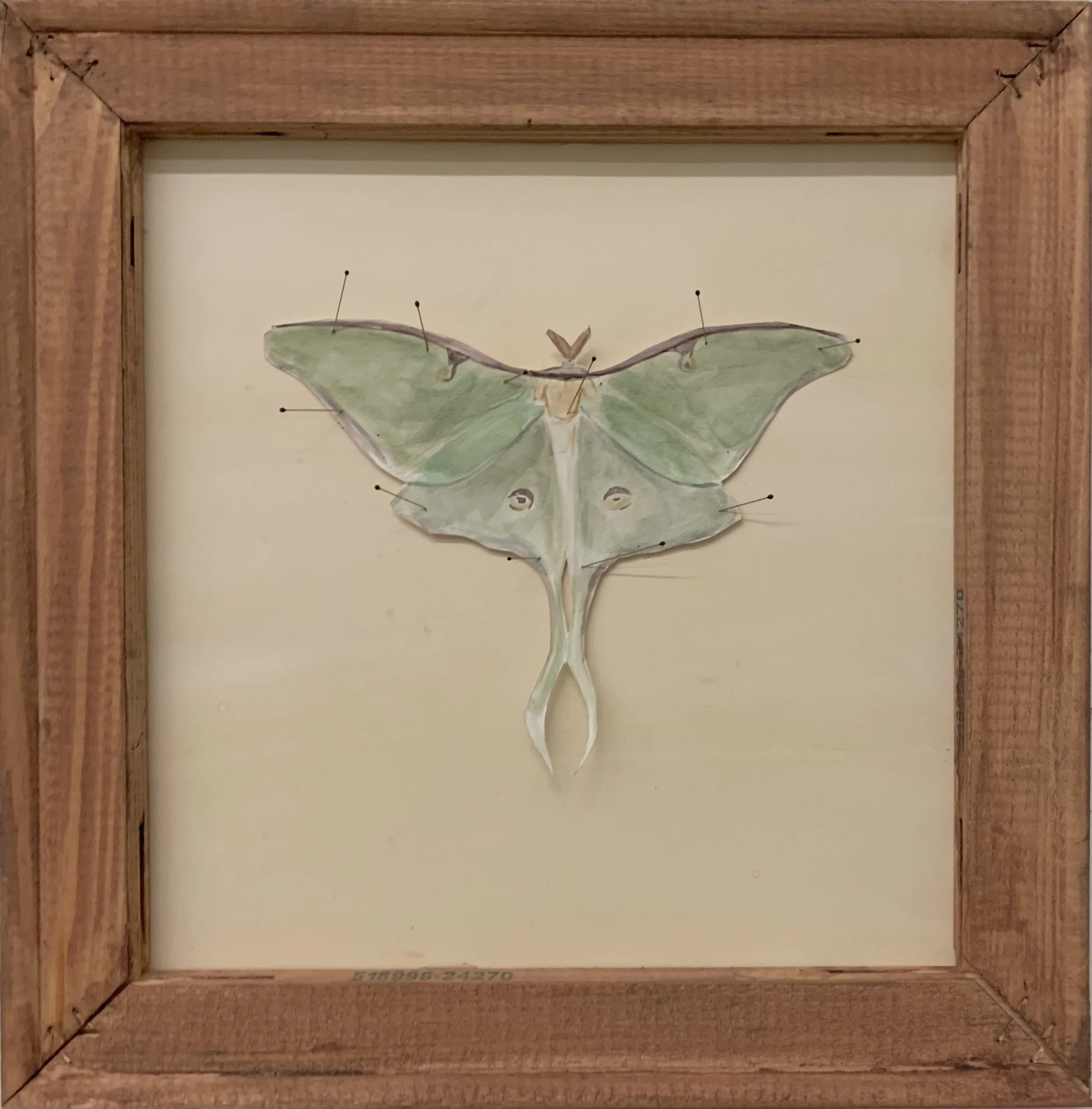 String the Sinner by its Wings II, 2025
watercolor, taxidermy pins, and collage on canvas
16 x 20 in.
