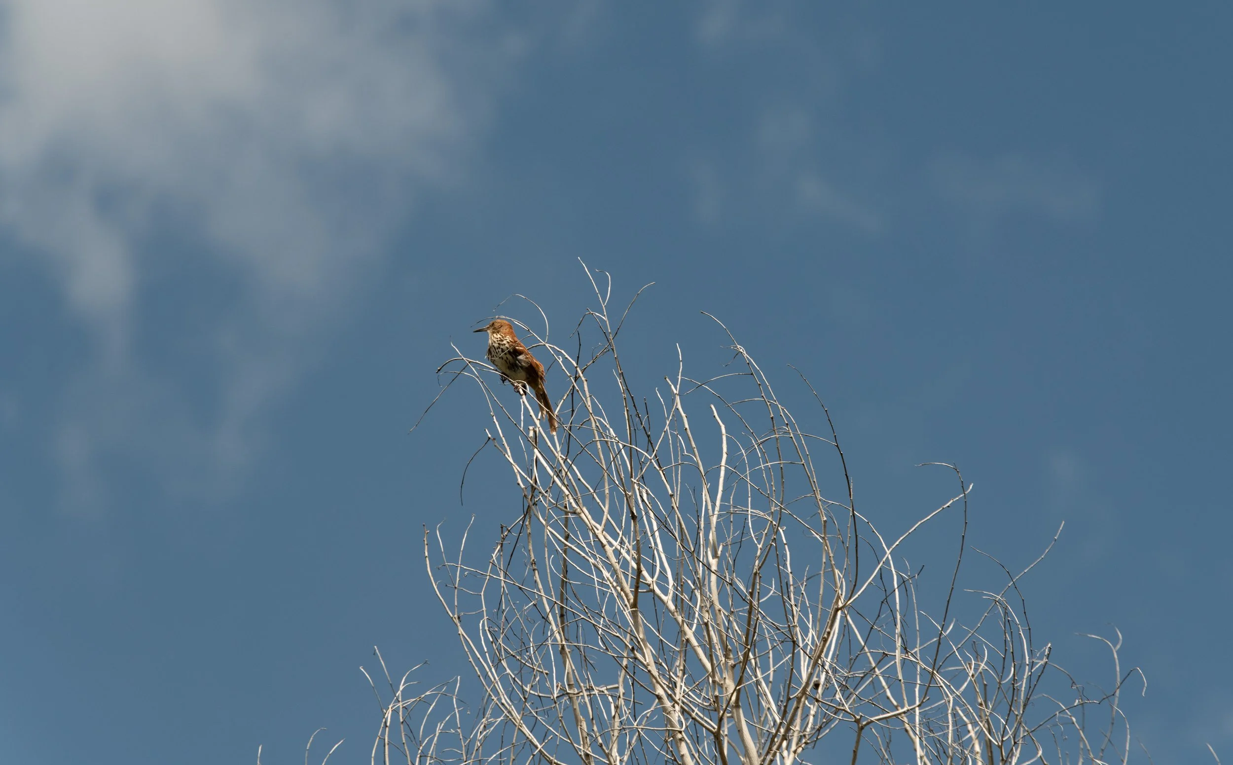 DSC_2835.jpg
