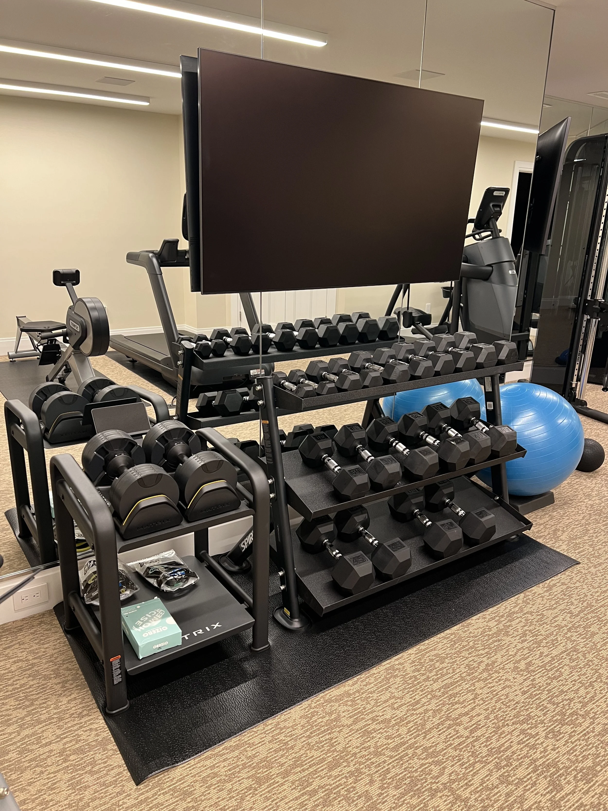 Workout equipment in a gym, including dumbbells on a rack, a blue exercise ball, and a treadmill in the background.