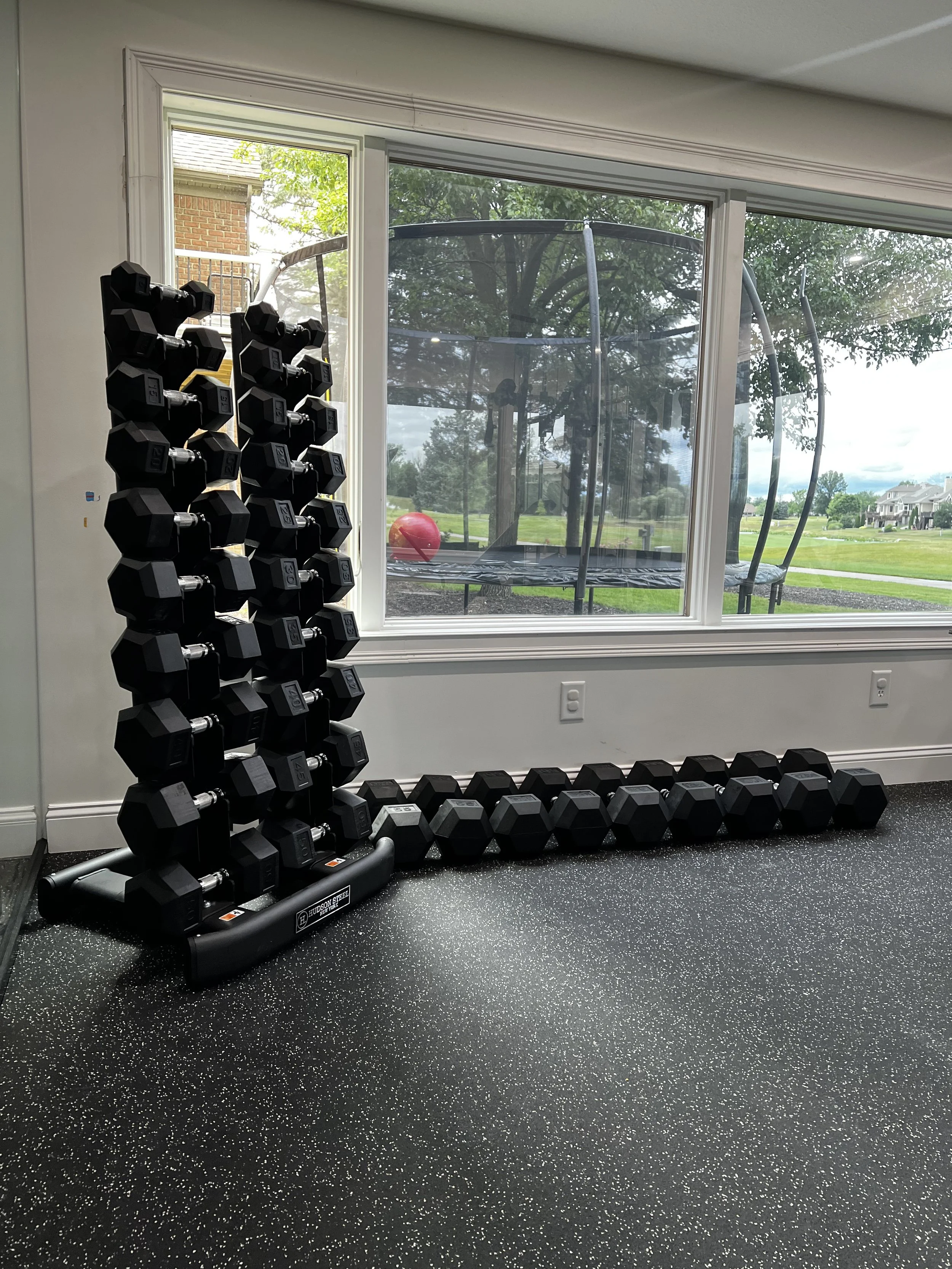 A set of black dumbbells arranged on a rack, with additional dumbbells lined up on the floor, inside a gym room near large windows showing an outdoor view with a trampoline, trees, and a lawn.