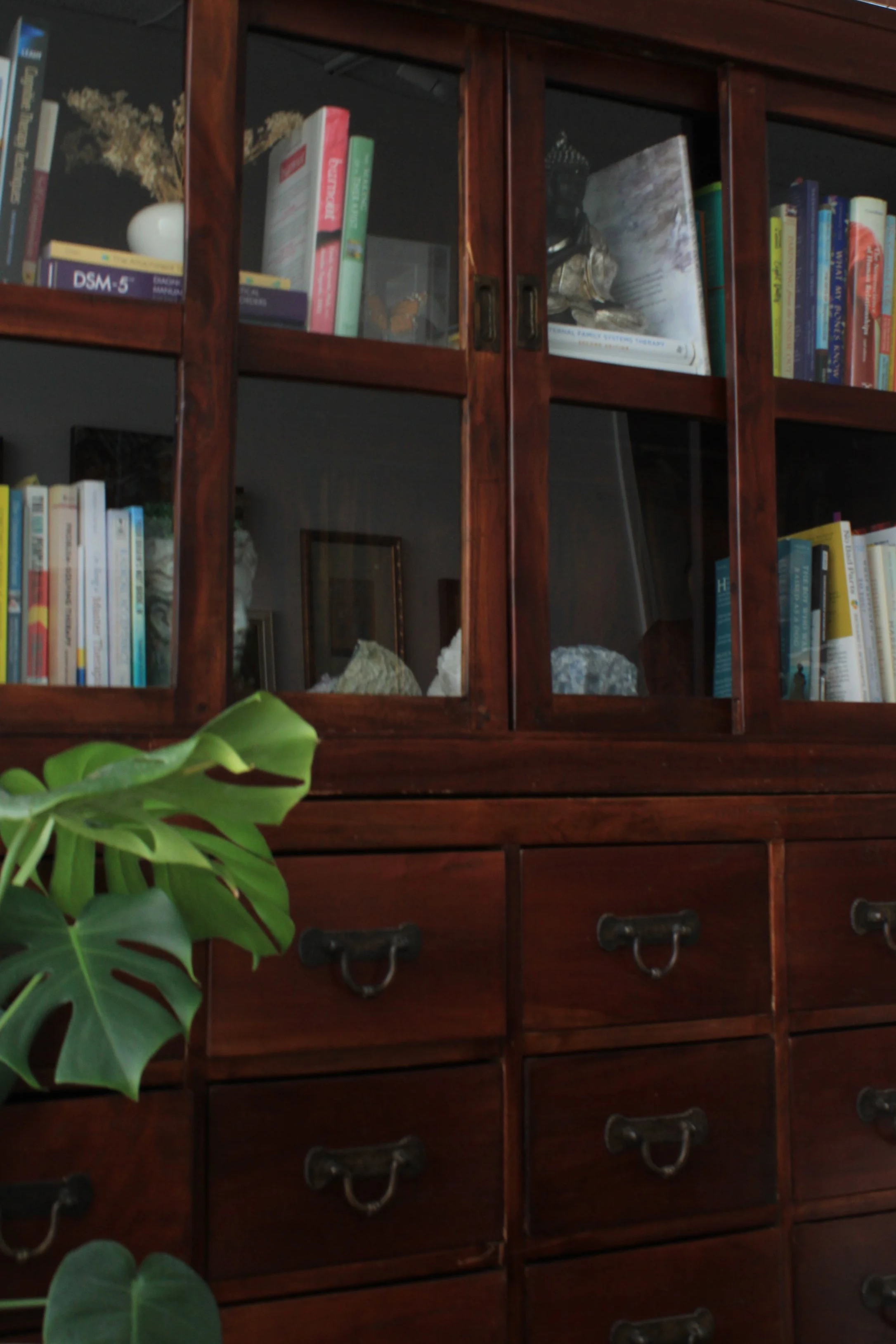 A wooden bookshelf with glass doors filled with books, decorative items, and minerals, with a green plant in the foreground.