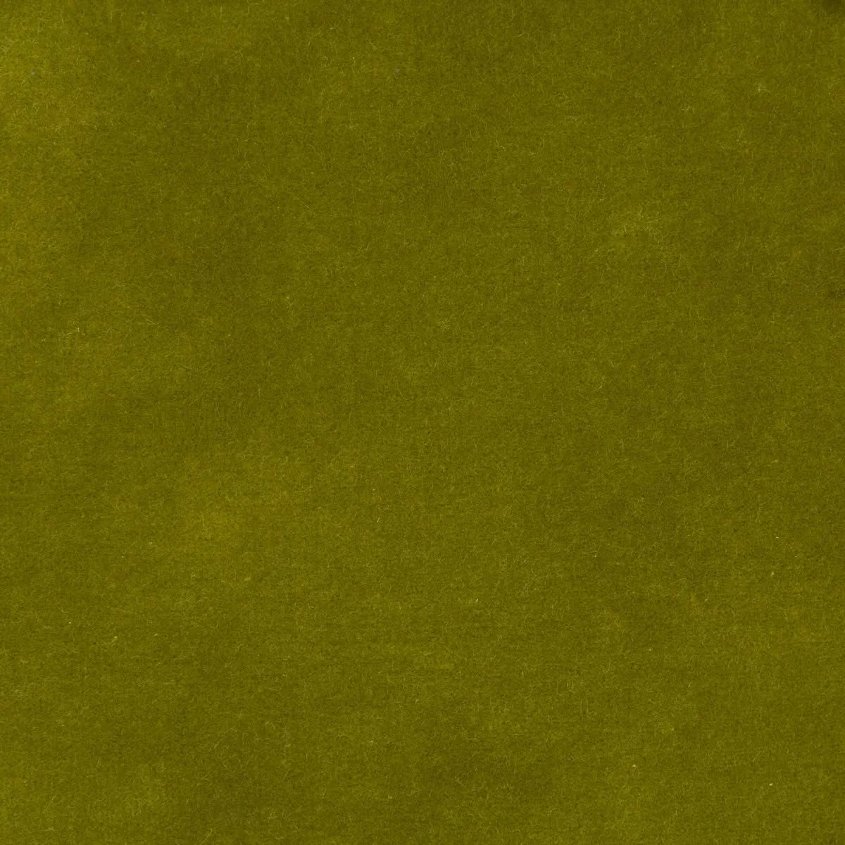 Close-up photo of a textured, olive-green surface.