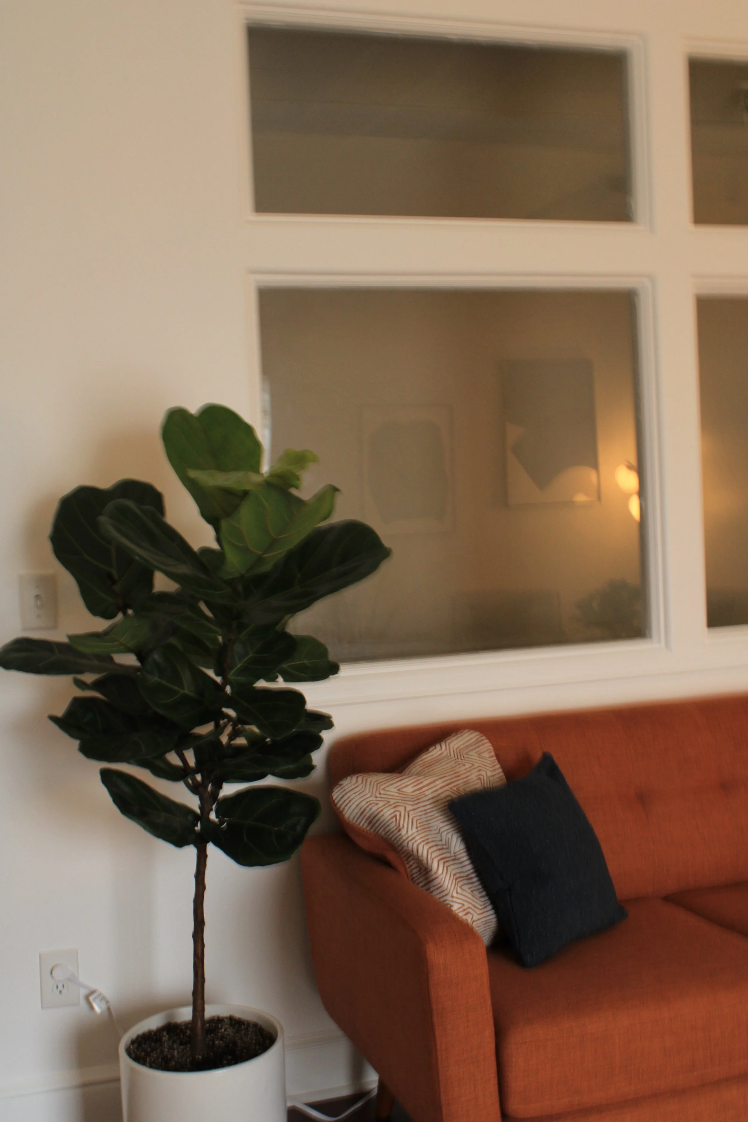 A therapy waiting room corner with a tall potted plant, an orange sofa with two pillows, and a large window behind the sofa.