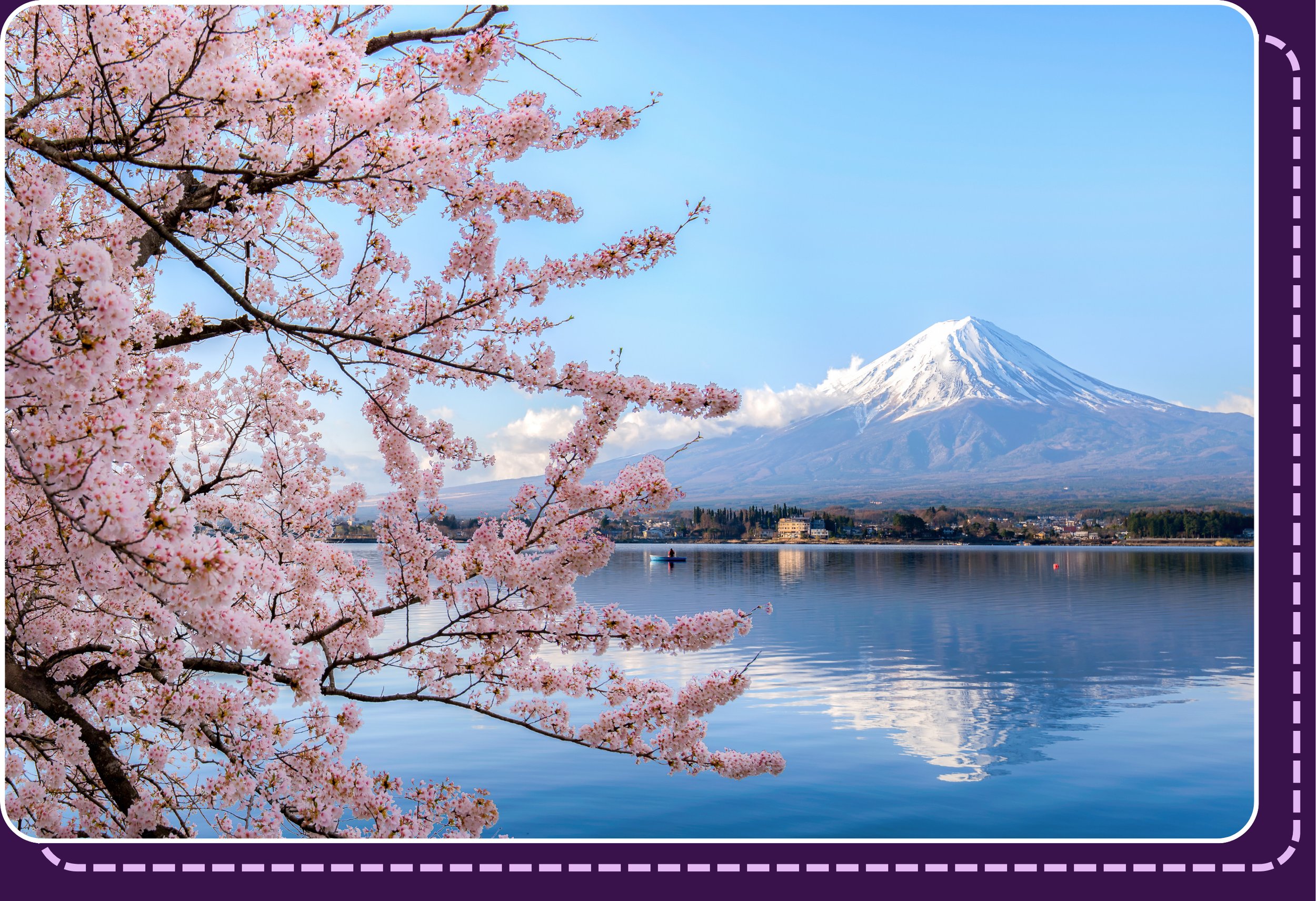 Cherry blossoms in full bloom with Mount Fuji in the background, symbolizing Japan and linking to the Japan–America Student Conference (JASC) page.
