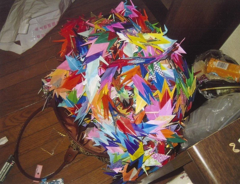 36213435944_59d7ded8d9_c.jpg