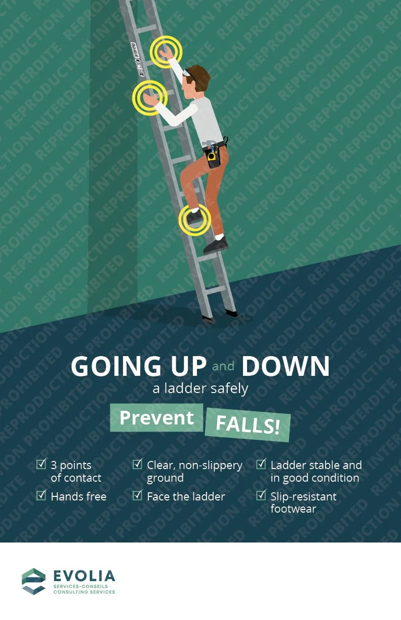 Info.010 – 3 Points of Contact: Ladder #2 (EN) – Coroplast