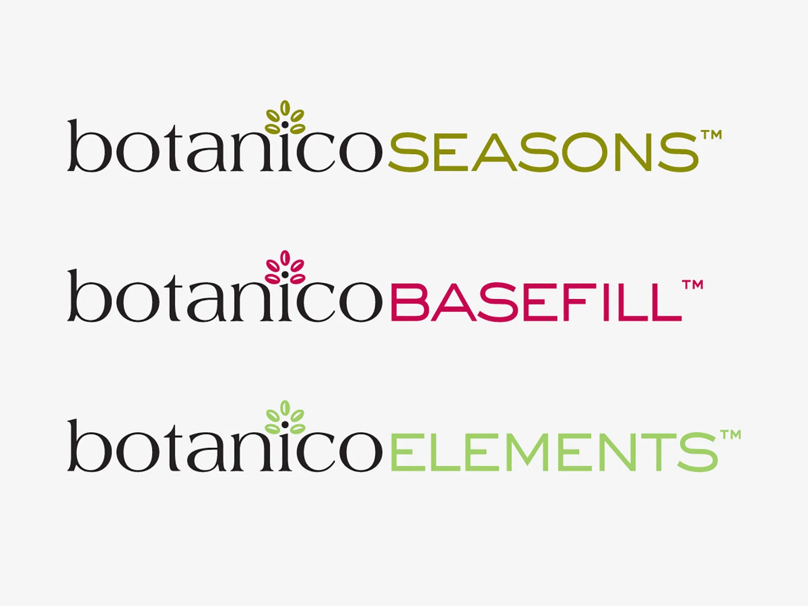 BO-identity-2.jpg