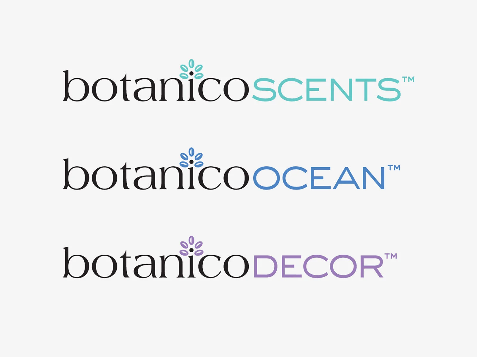 BO-identity-3.jpg