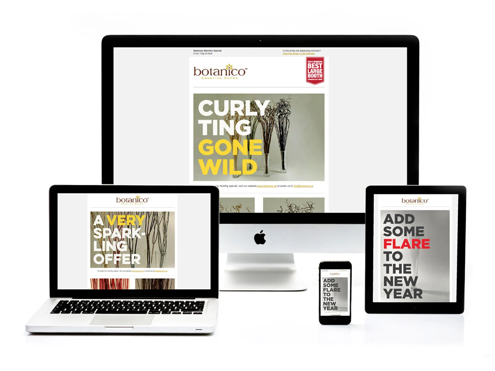 BO-Web-1.jpg