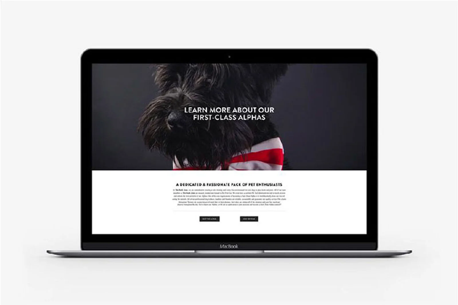BarkZ-web_04.jpg