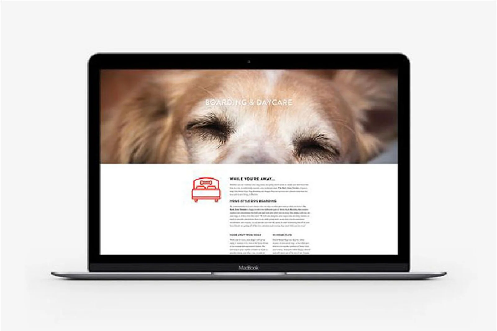 BarkZ-web_03.jpg