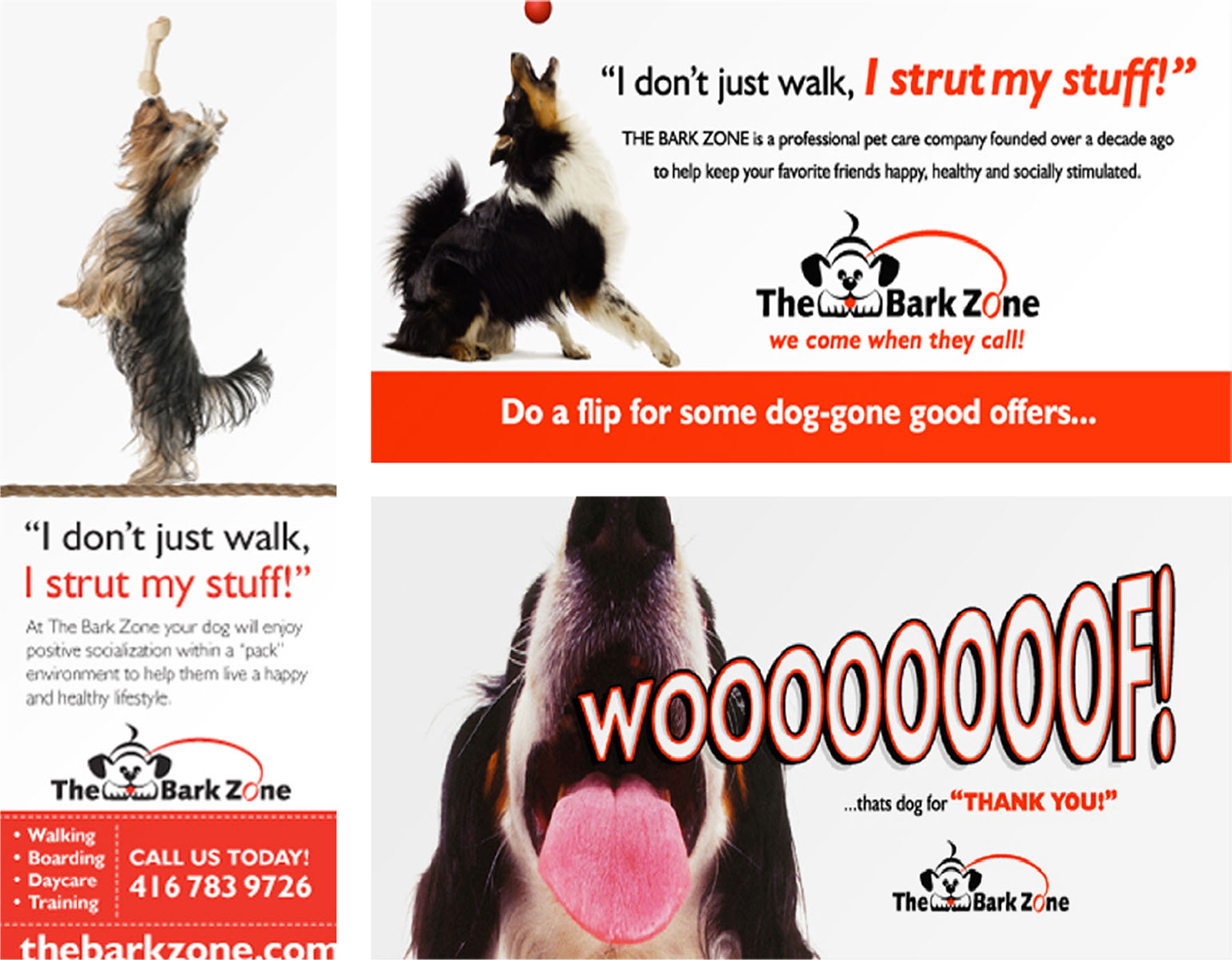 BarkZ-identity_12.png