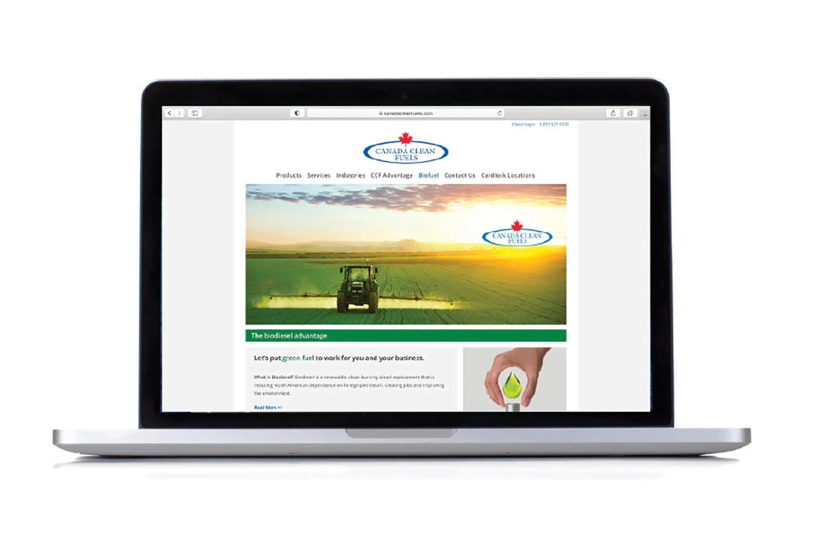 CCF_web_03.jpg