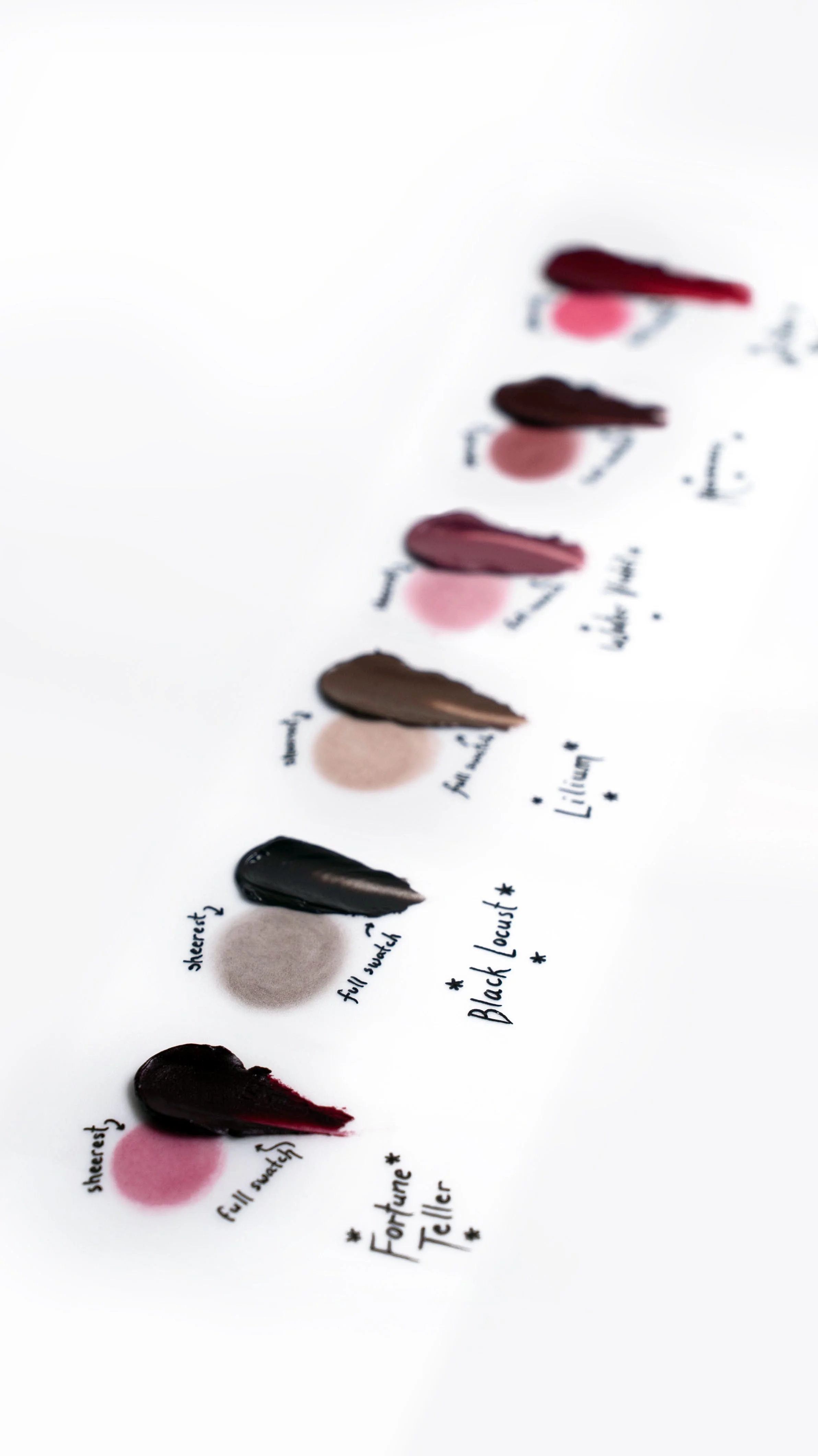 LAAF all shades w swatch on white high res.jpg