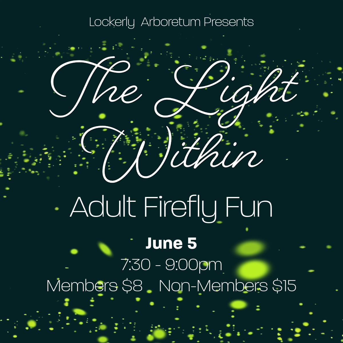The Light Within